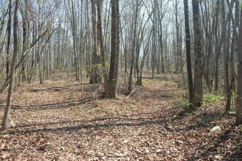 3578 Wolf Creek Road Spring City TN 37381
