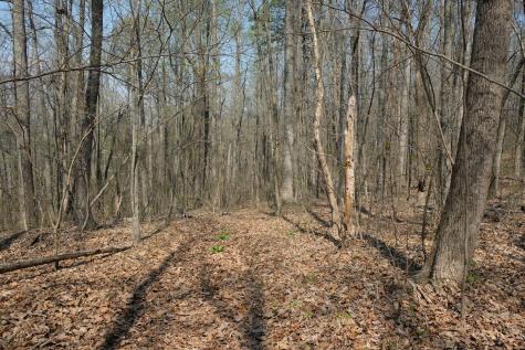 3578 Wolf Creek Road Spring City TN 37381