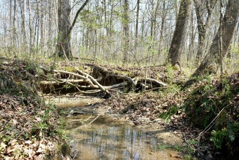 3578 Wolf Creek Road Spring City TN 37381