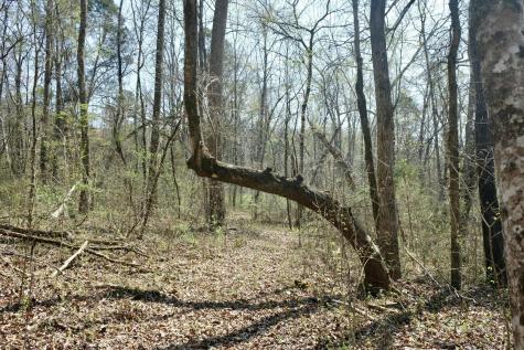 3578 Wolf Creek Road Spring City TN 37381