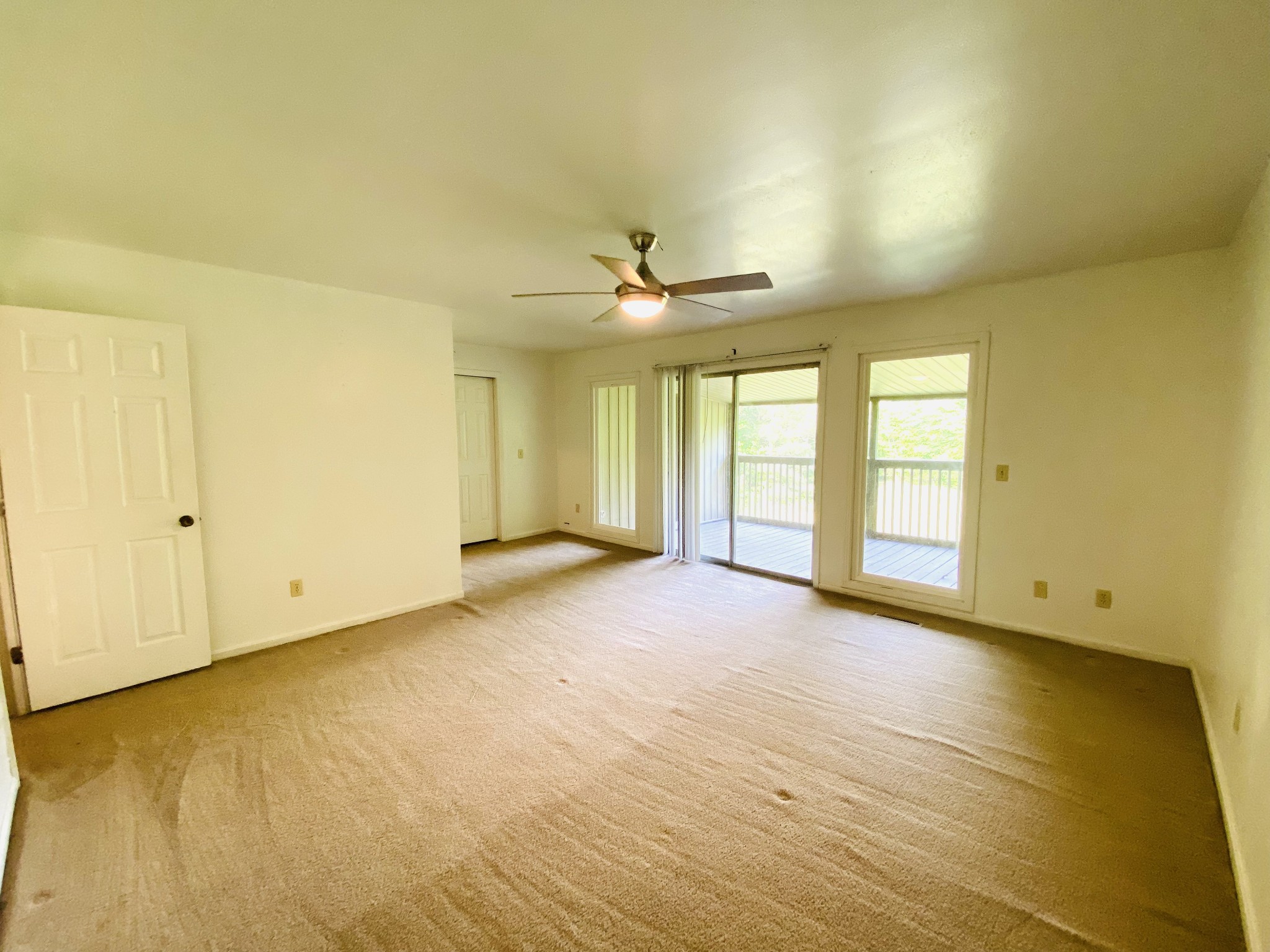 371 Pineview Drive Springville TN 38256