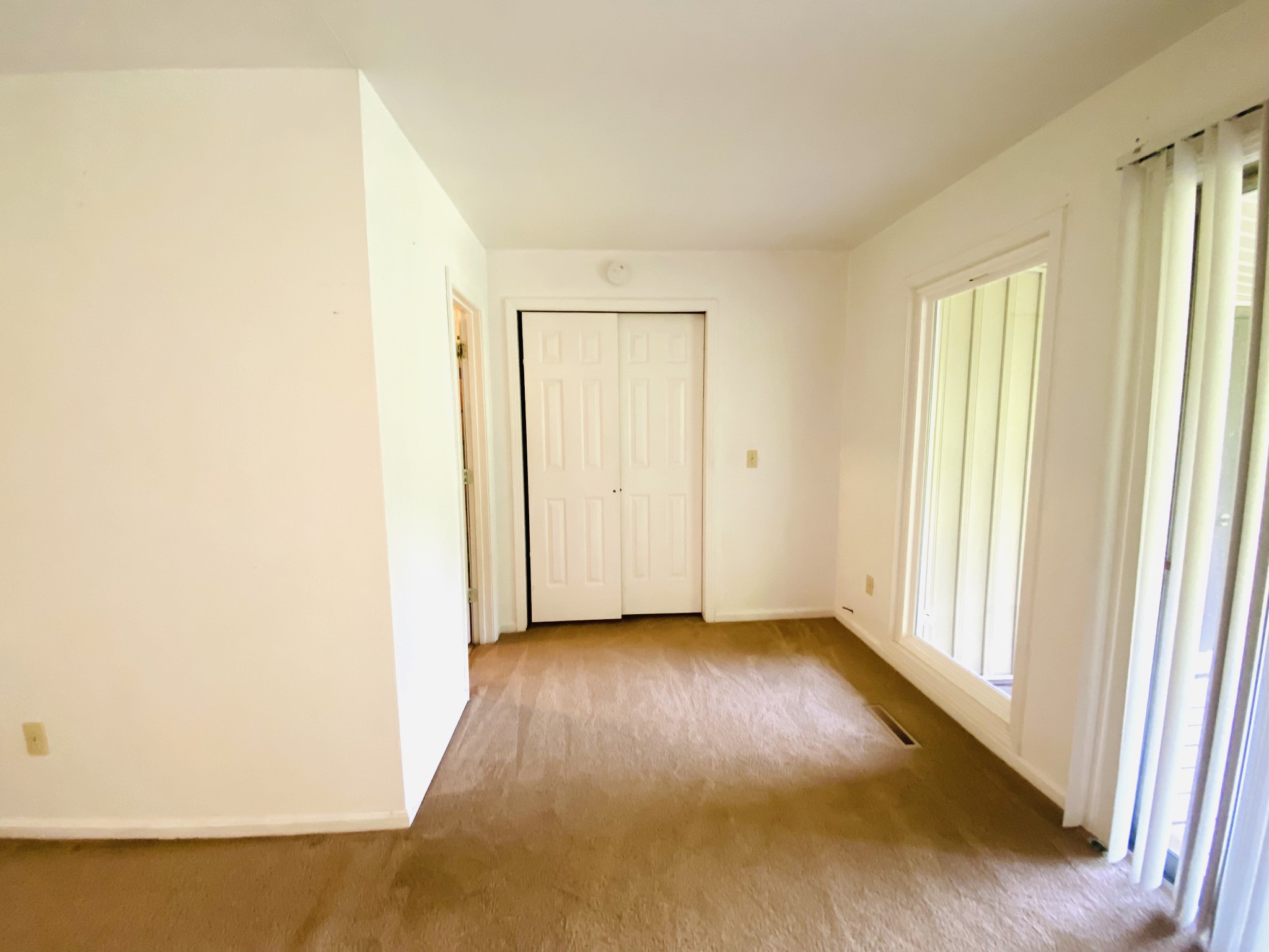 371 Pineview Drive Springville TN 38256