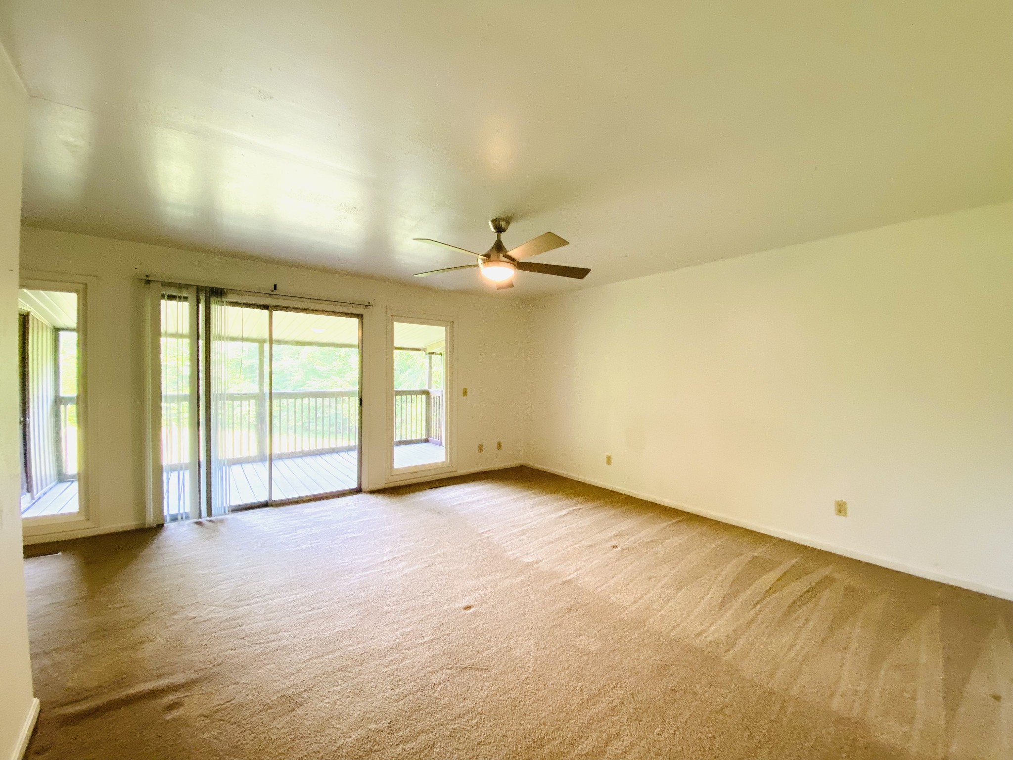 371 Pineview Drive Springville TN 38256