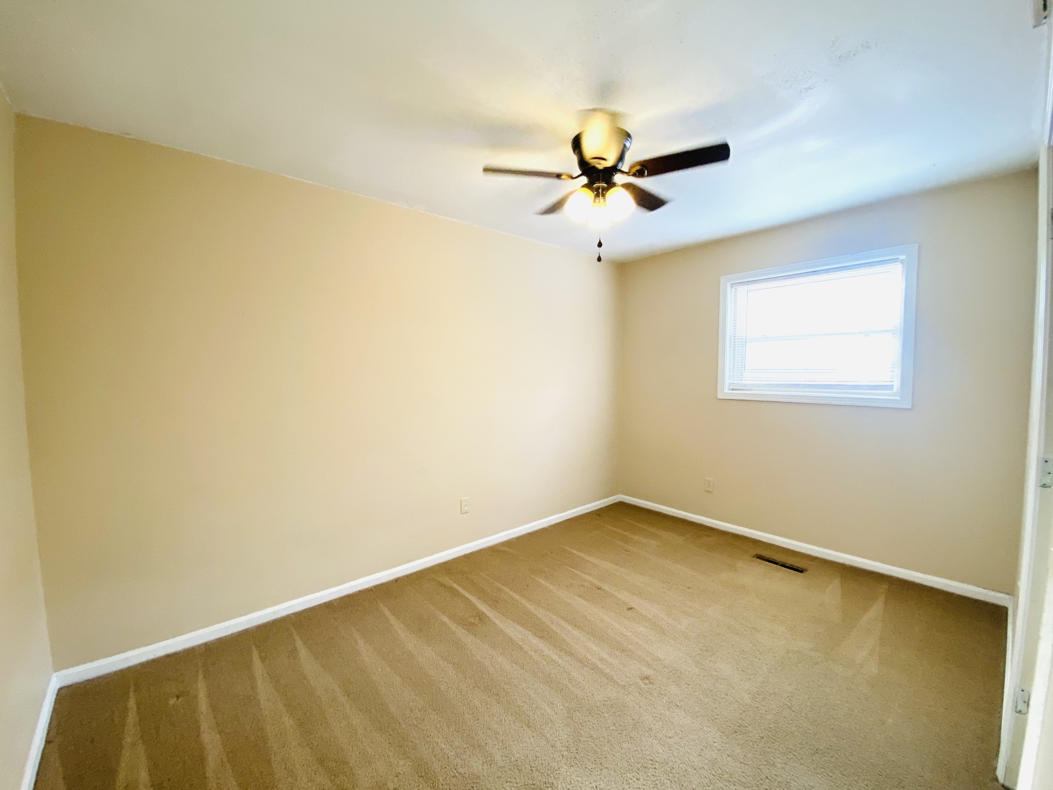 371 Pineview Drive Springville TN 38256