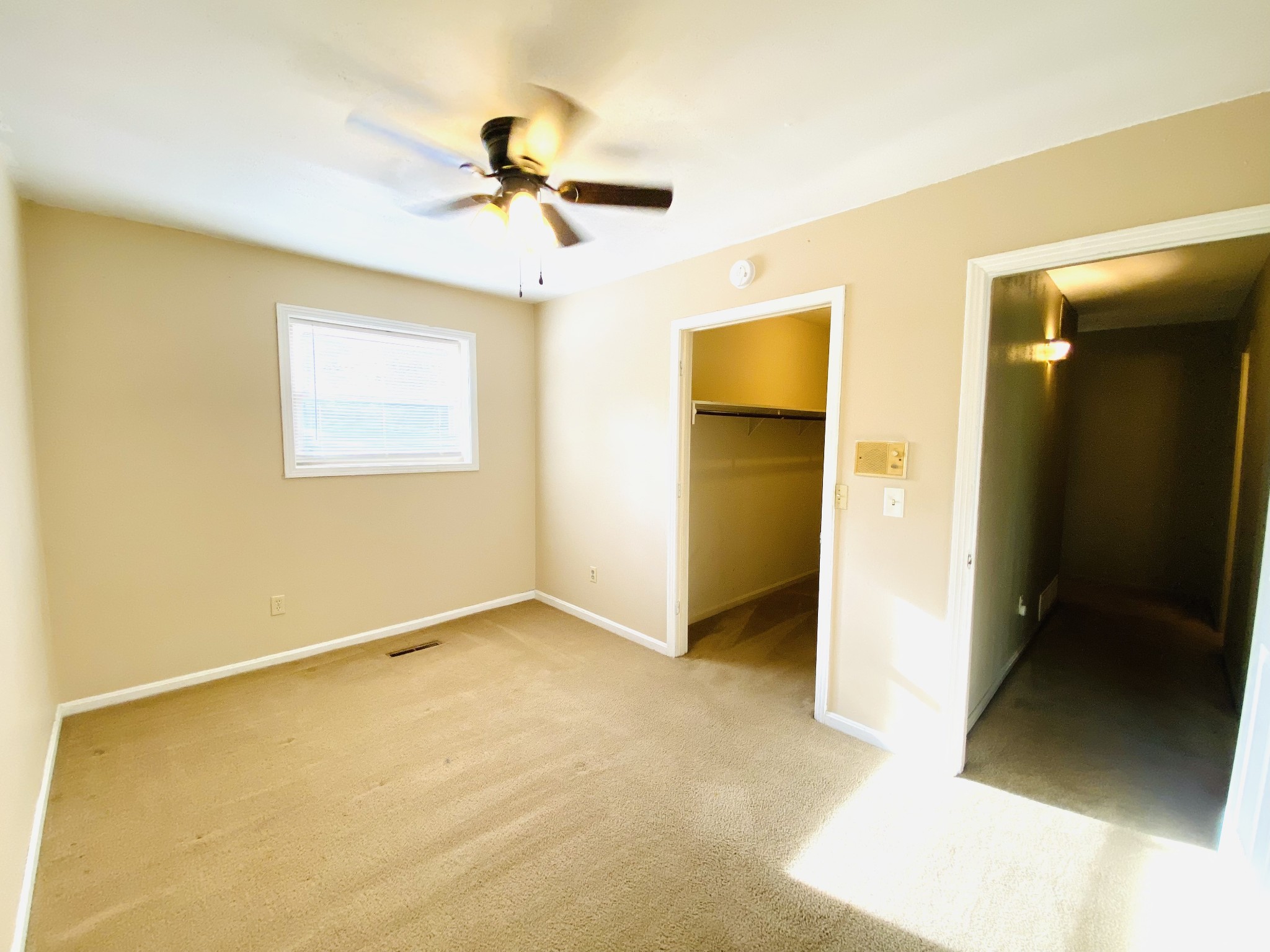 371 Pineview Drive Springville TN 38256