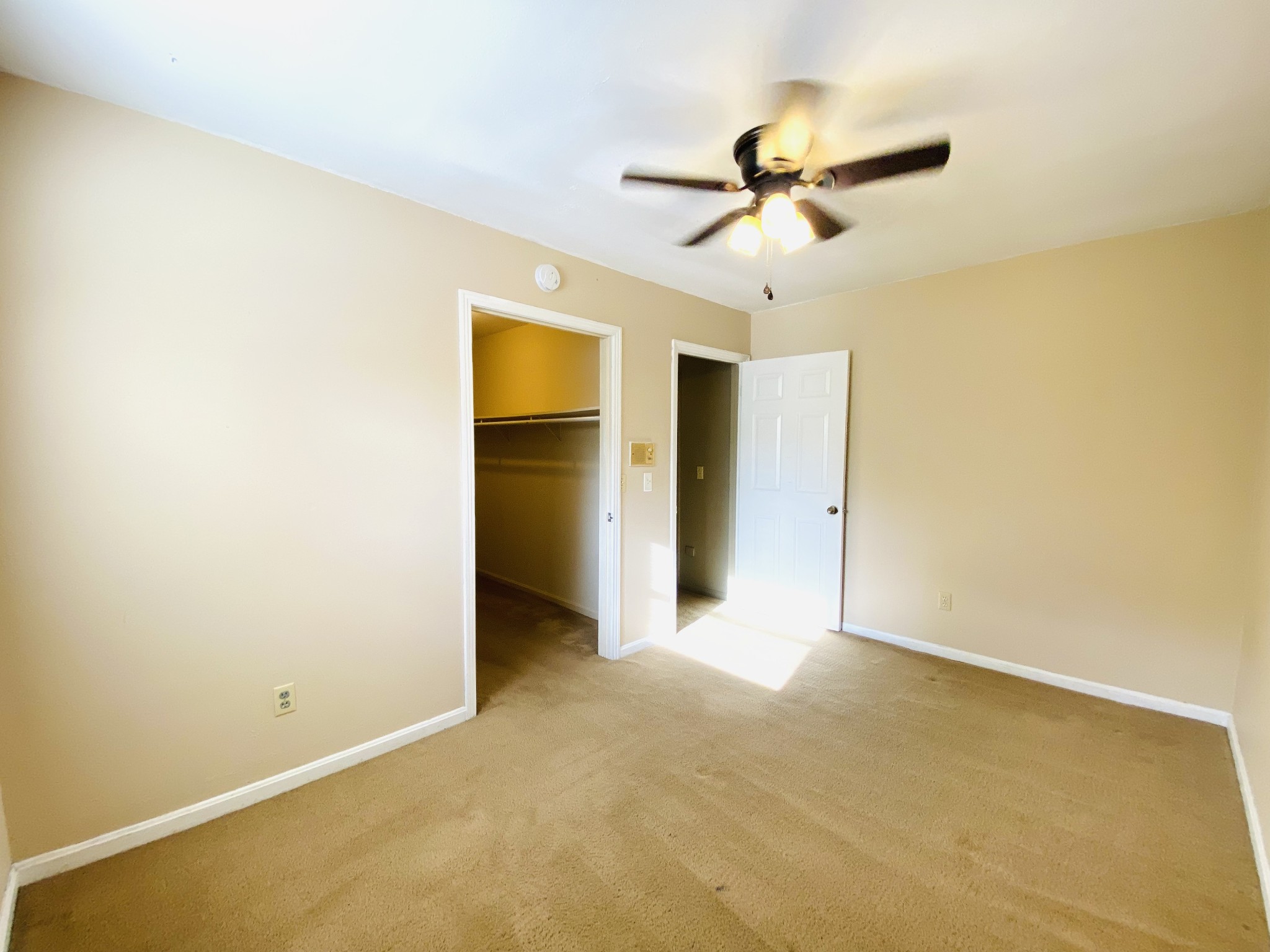 371 Pineview Drive Springville TN 38256