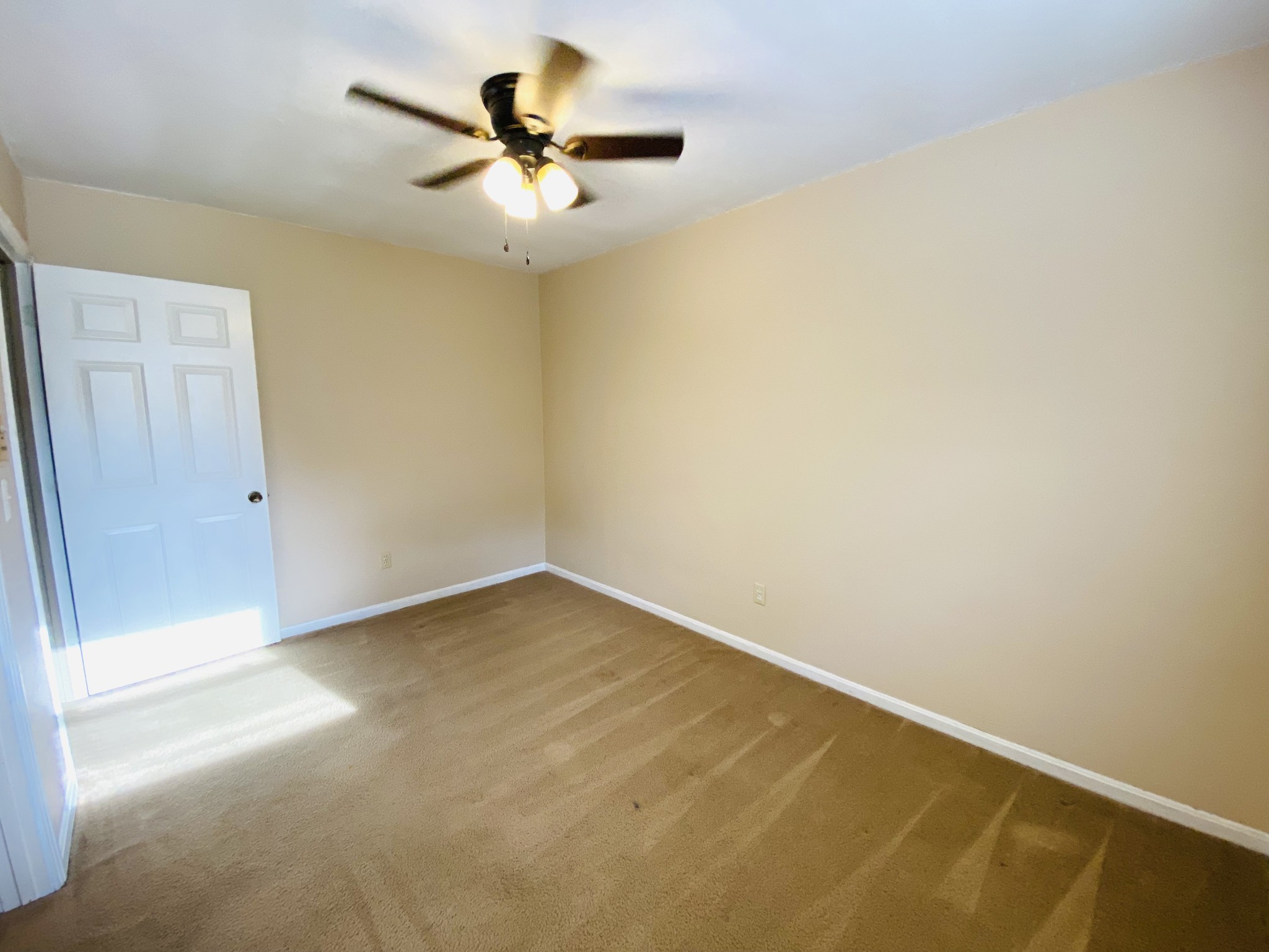 371 Pineview Drive Springville TN 38256