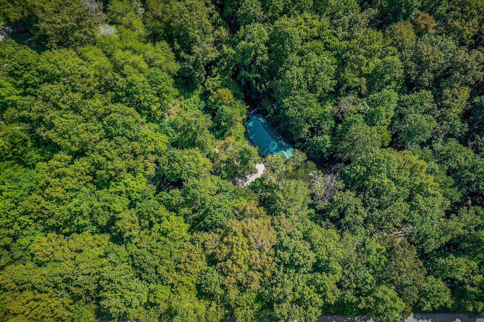 266 Shady Rest Road Mcminnville TN 37110