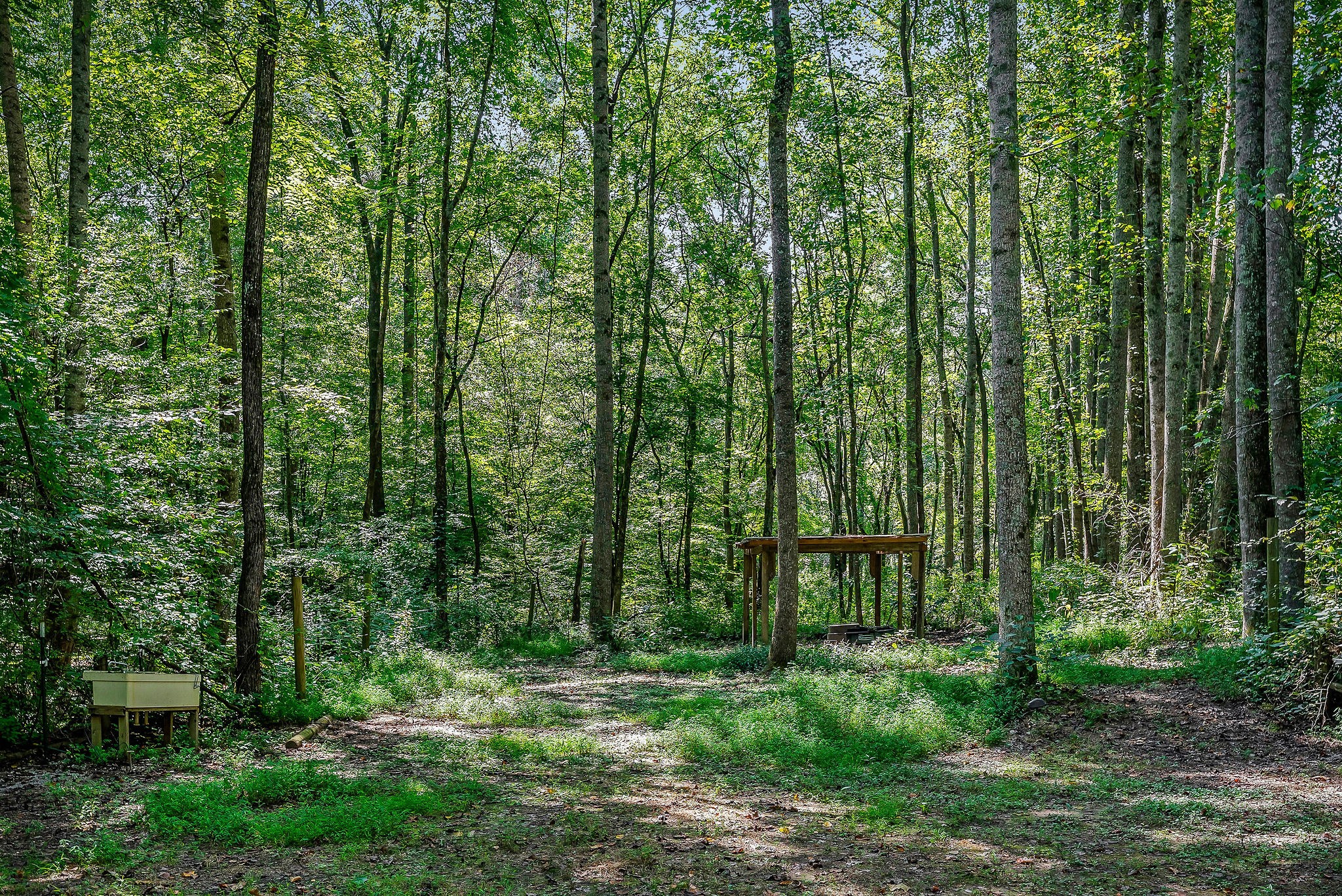 266 Shady Rest Road Mcminnville TN 37110