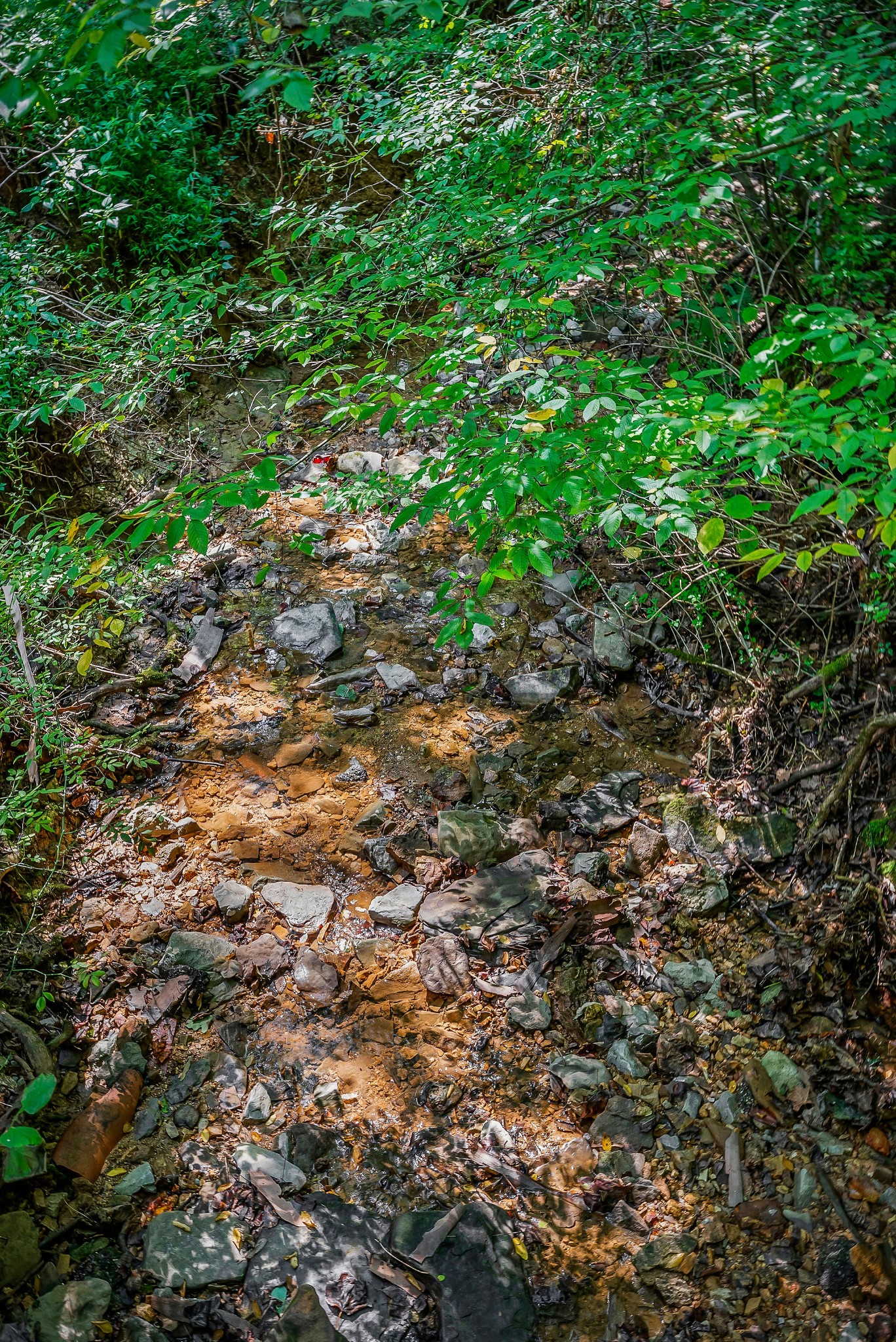 266 Shady Rest Road Mcminnville TN 37110