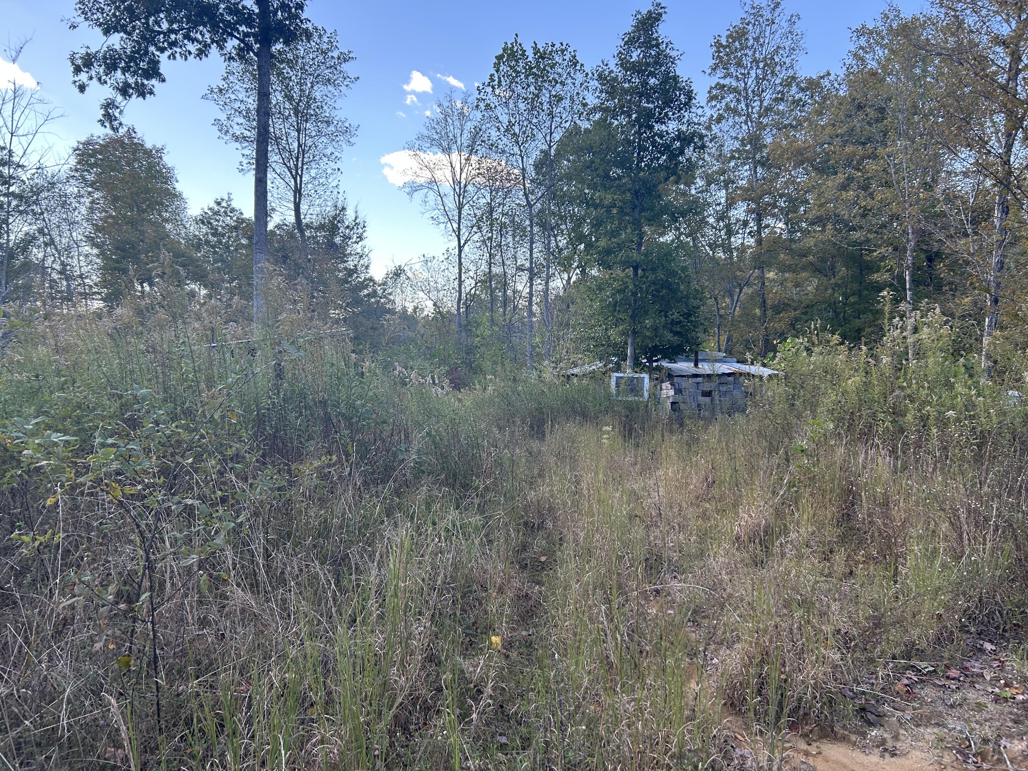 769 Preston Baggett Road Cumberland City TN 37050