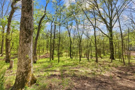 0 Hoggett Ford Road Hermitage TN 37076