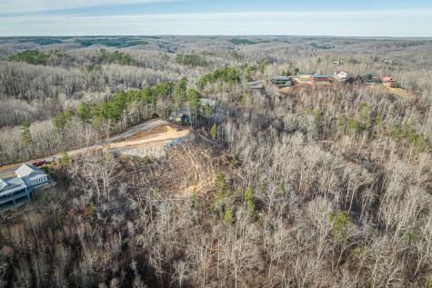 0 Ridgeway Drive Sugar Tree TN 38380