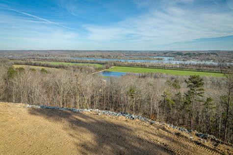 0 Ridgeway Drive Sugar Tree TN 38380