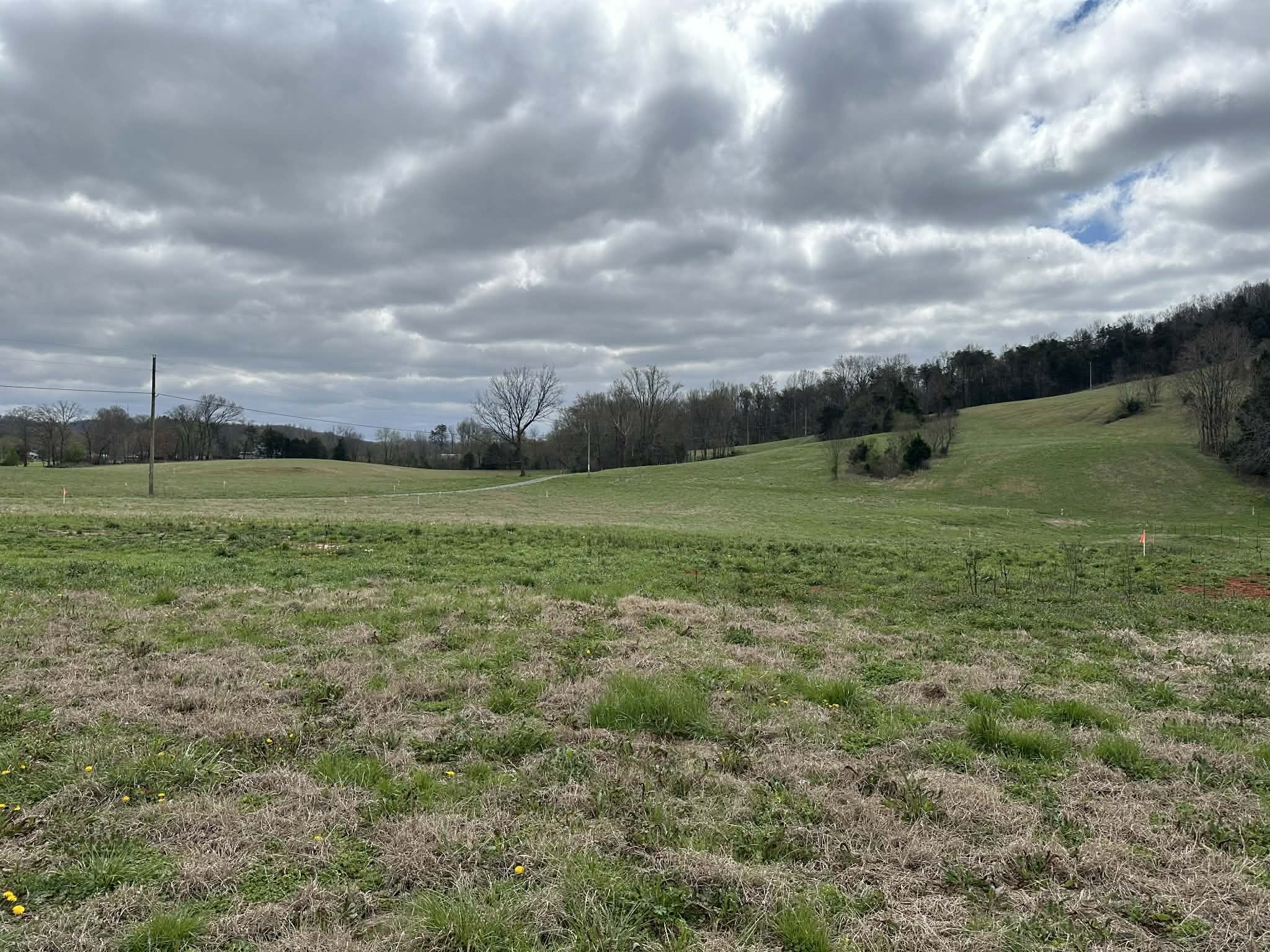 0 Upper Hilham Road Livingston TN 38570