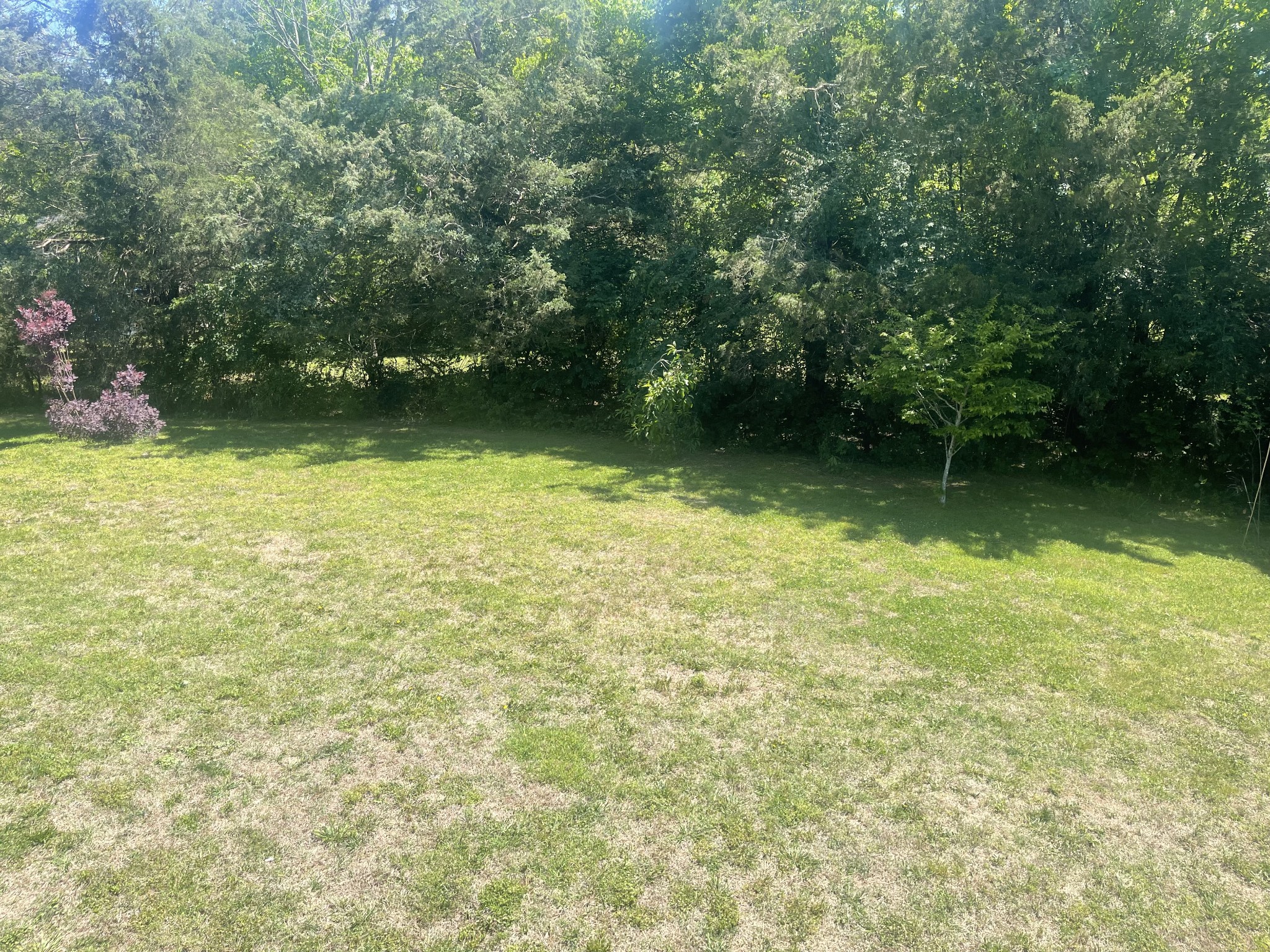 2825 Polo Club Road Nashville TN 37221