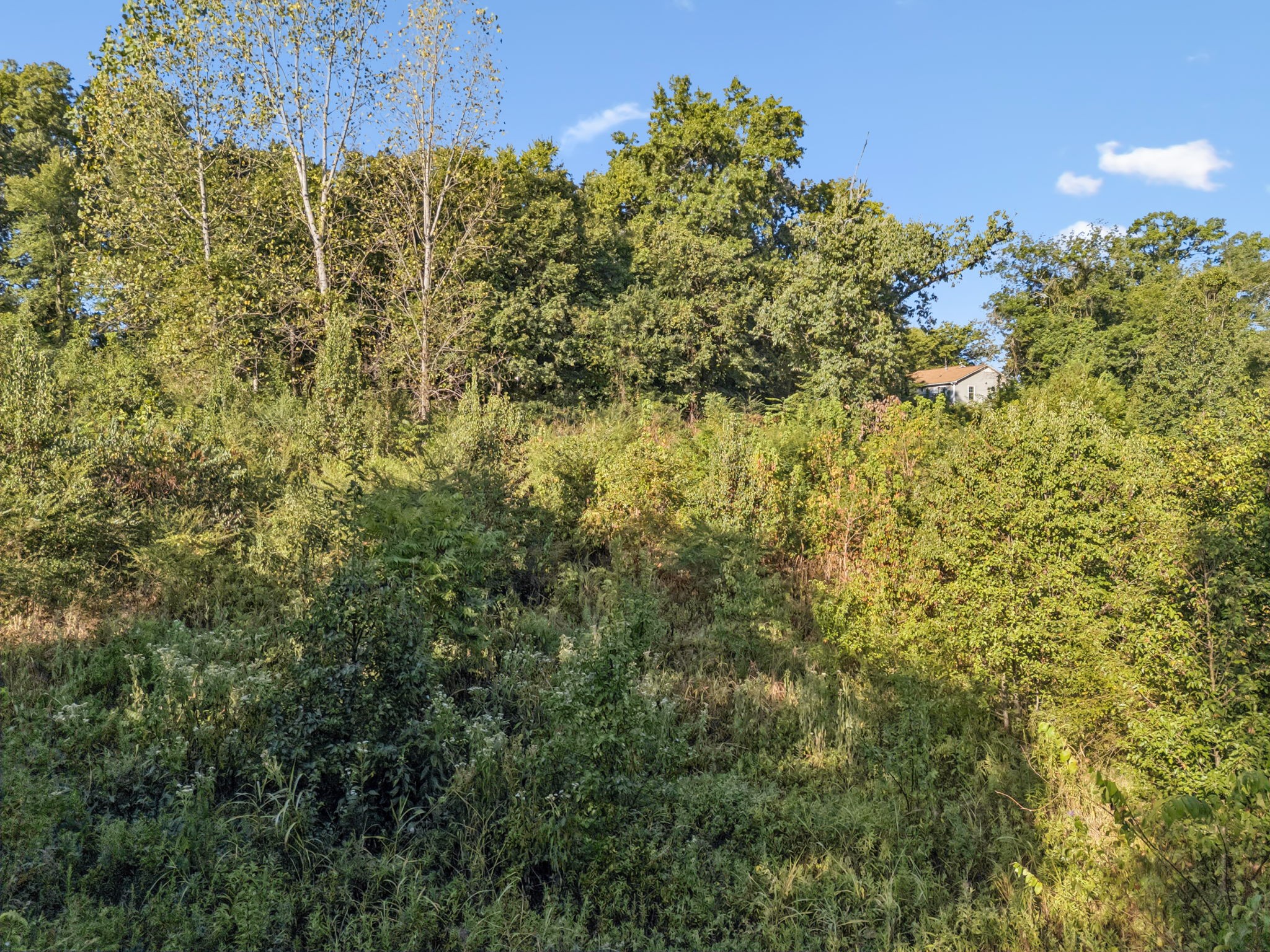 0 Northstone Drive Columbia TN 38401