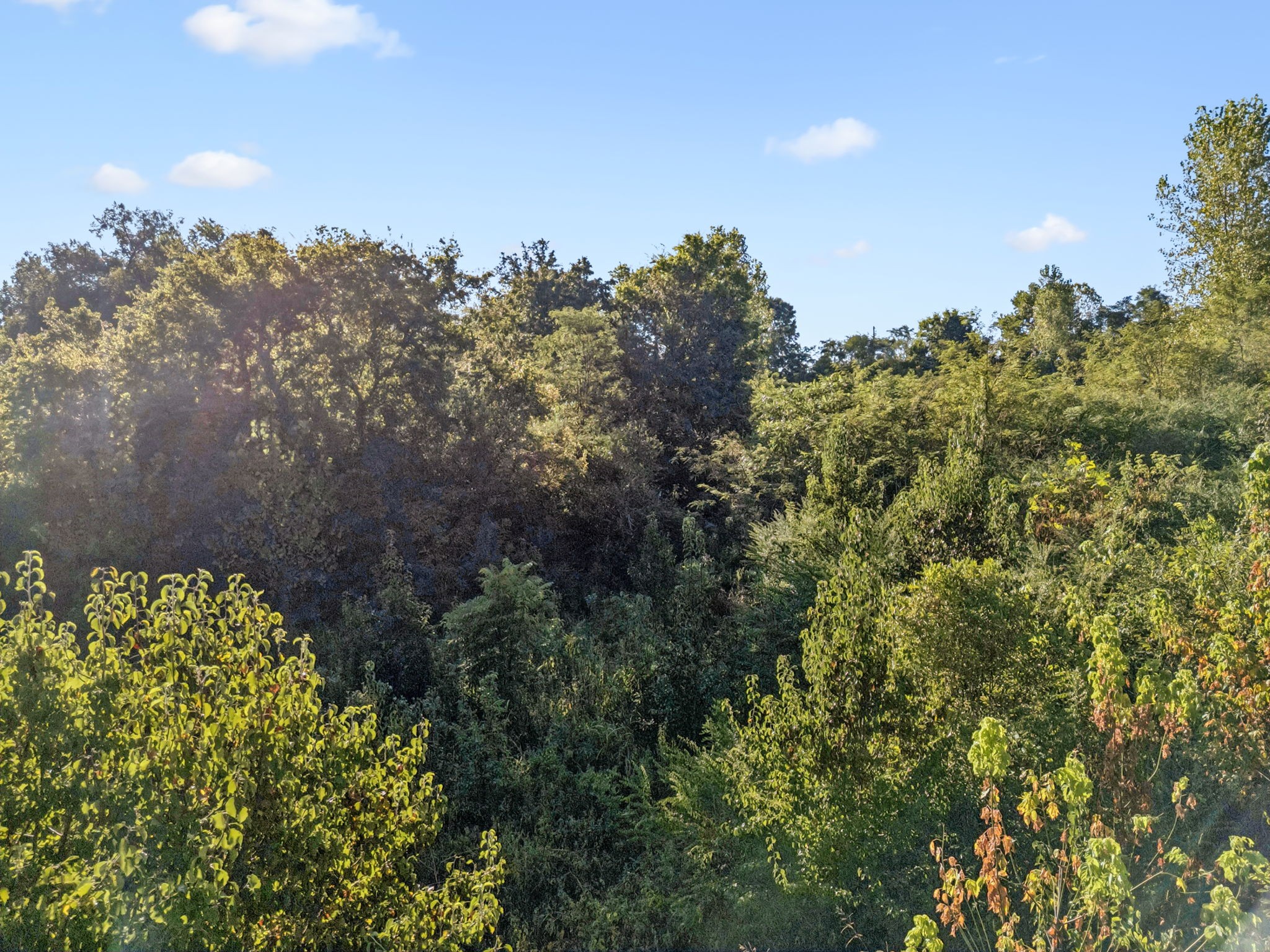 0 Northstone Drive Columbia TN 38401