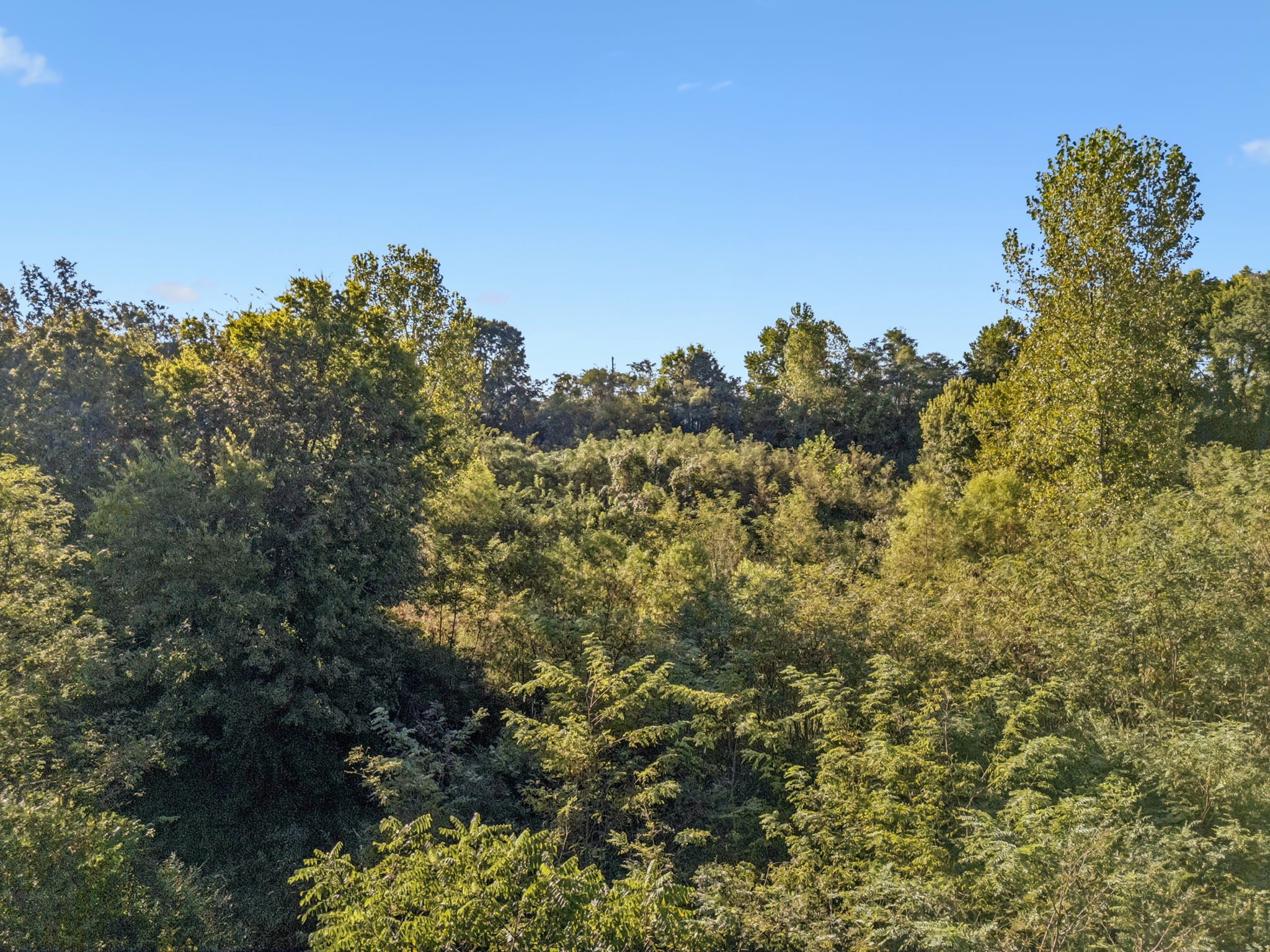 0 Northstone Drive Columbia TN 38401