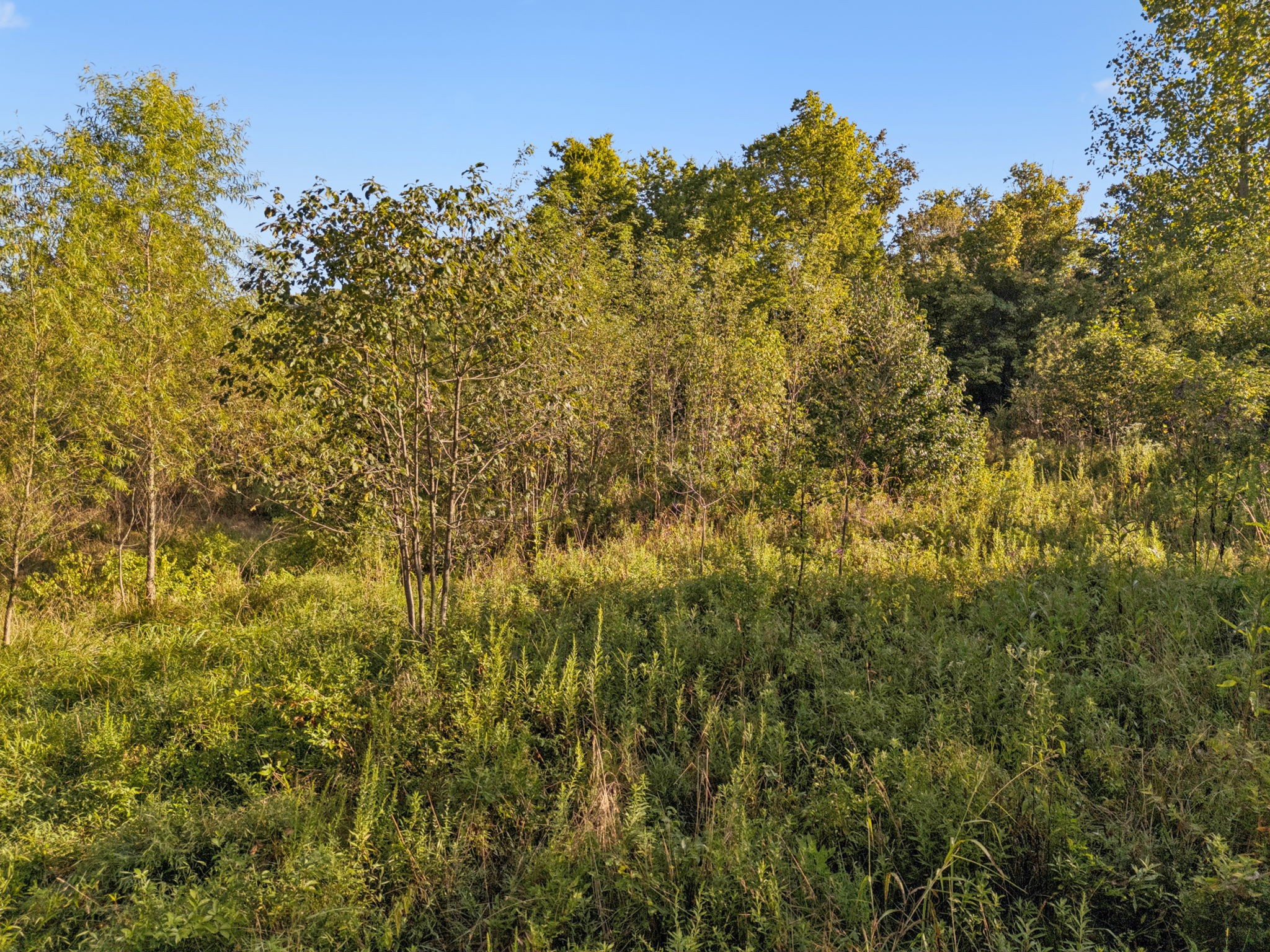 0 Northstone Drive Columbia TN 38401