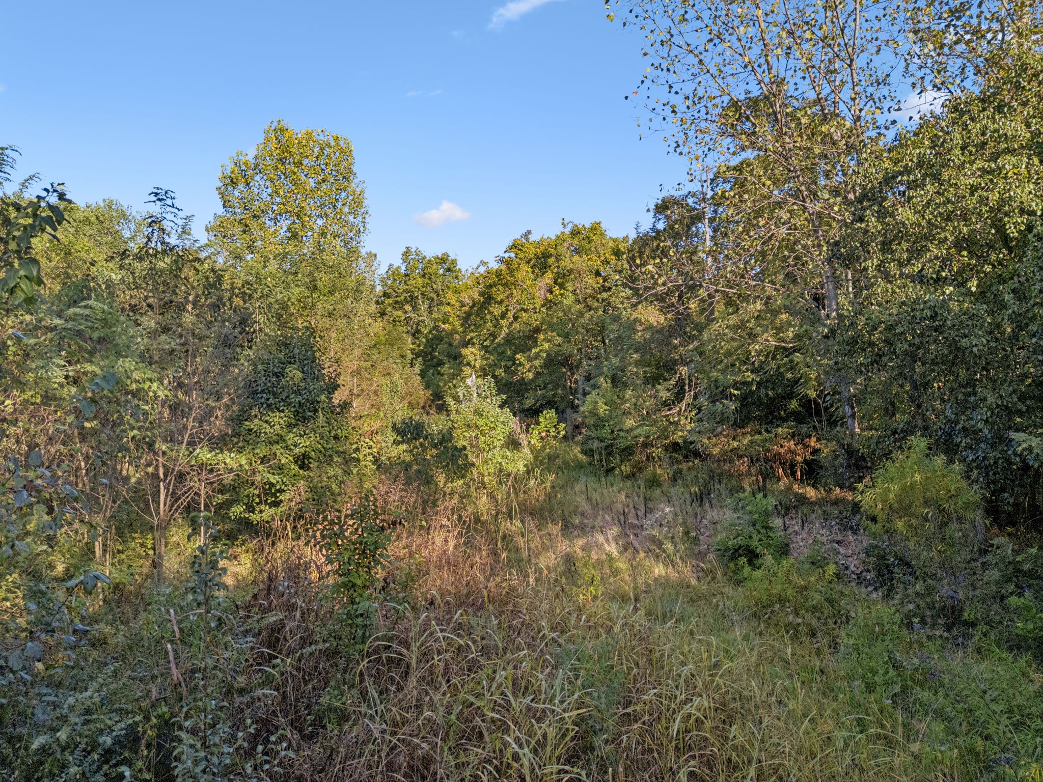 0 Northstone Drive Columbia TN 38401