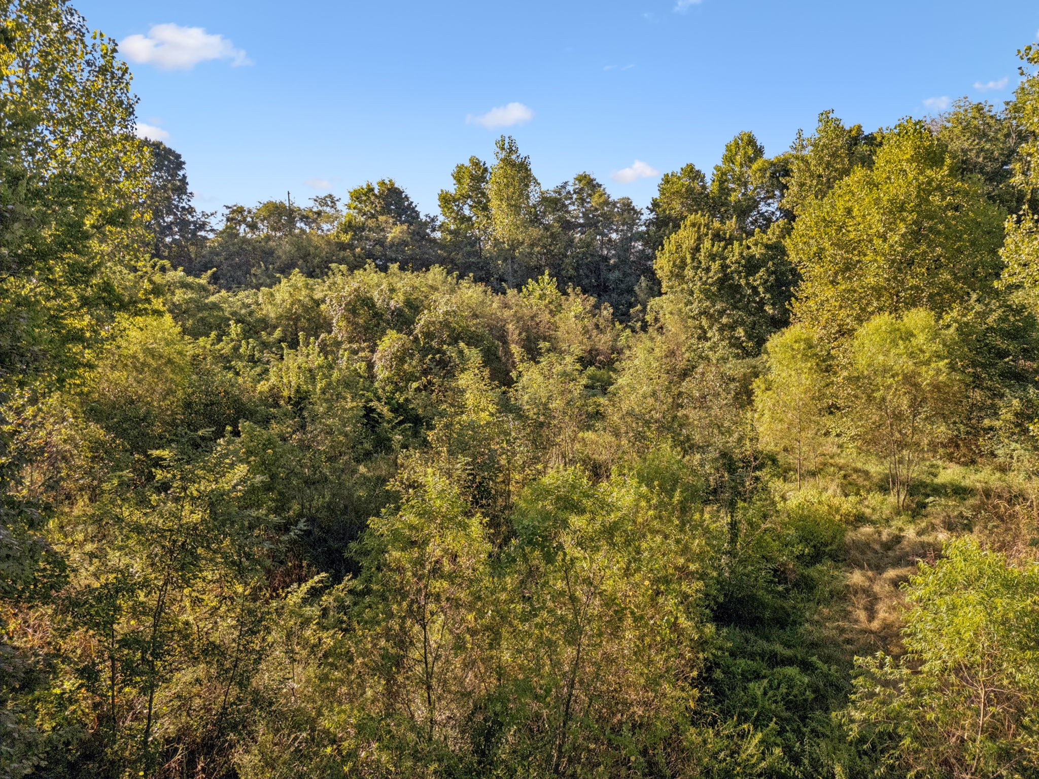 0 Northstone Drive Columbia TN 38401