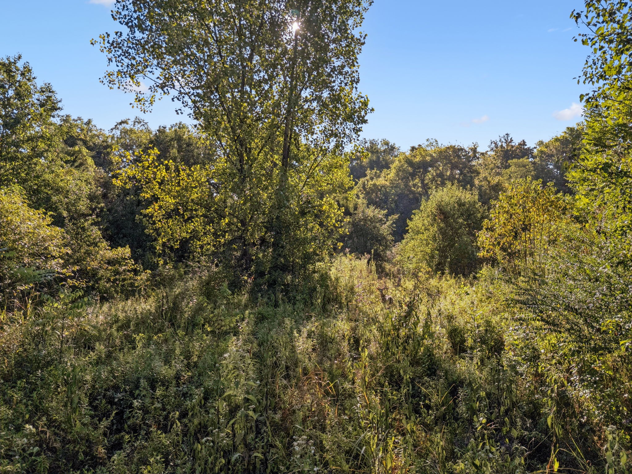 0 Northstone Drive Columbia TN 38401