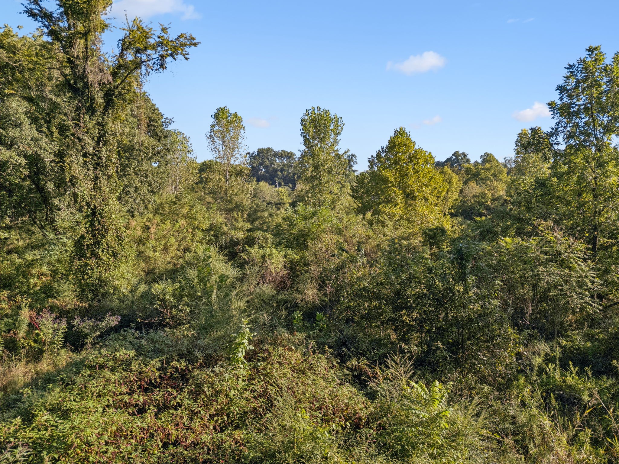 0 Northstone Drive Columbia TN 38401