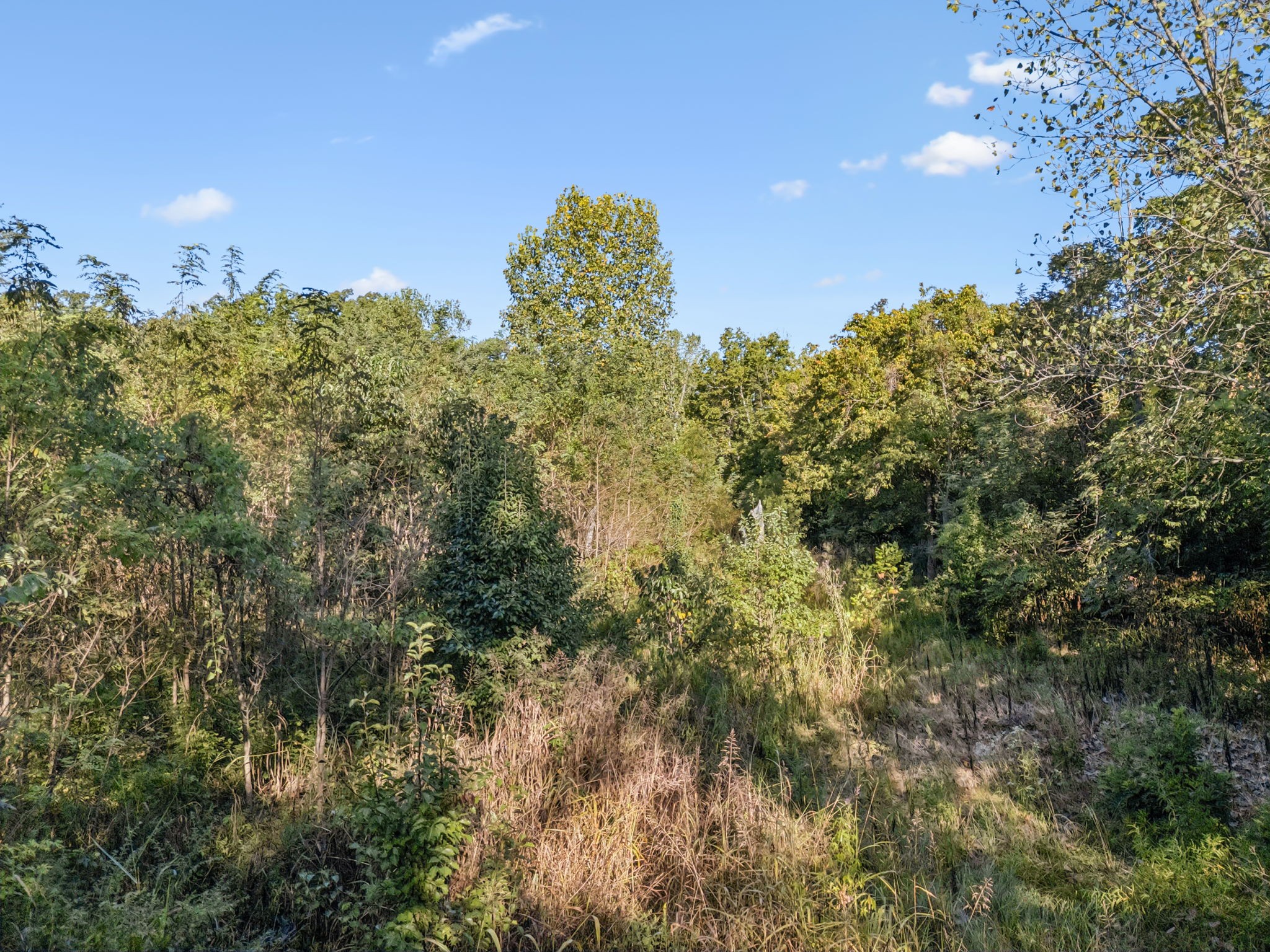 0 Northstone Drive Columbia TN 38401
