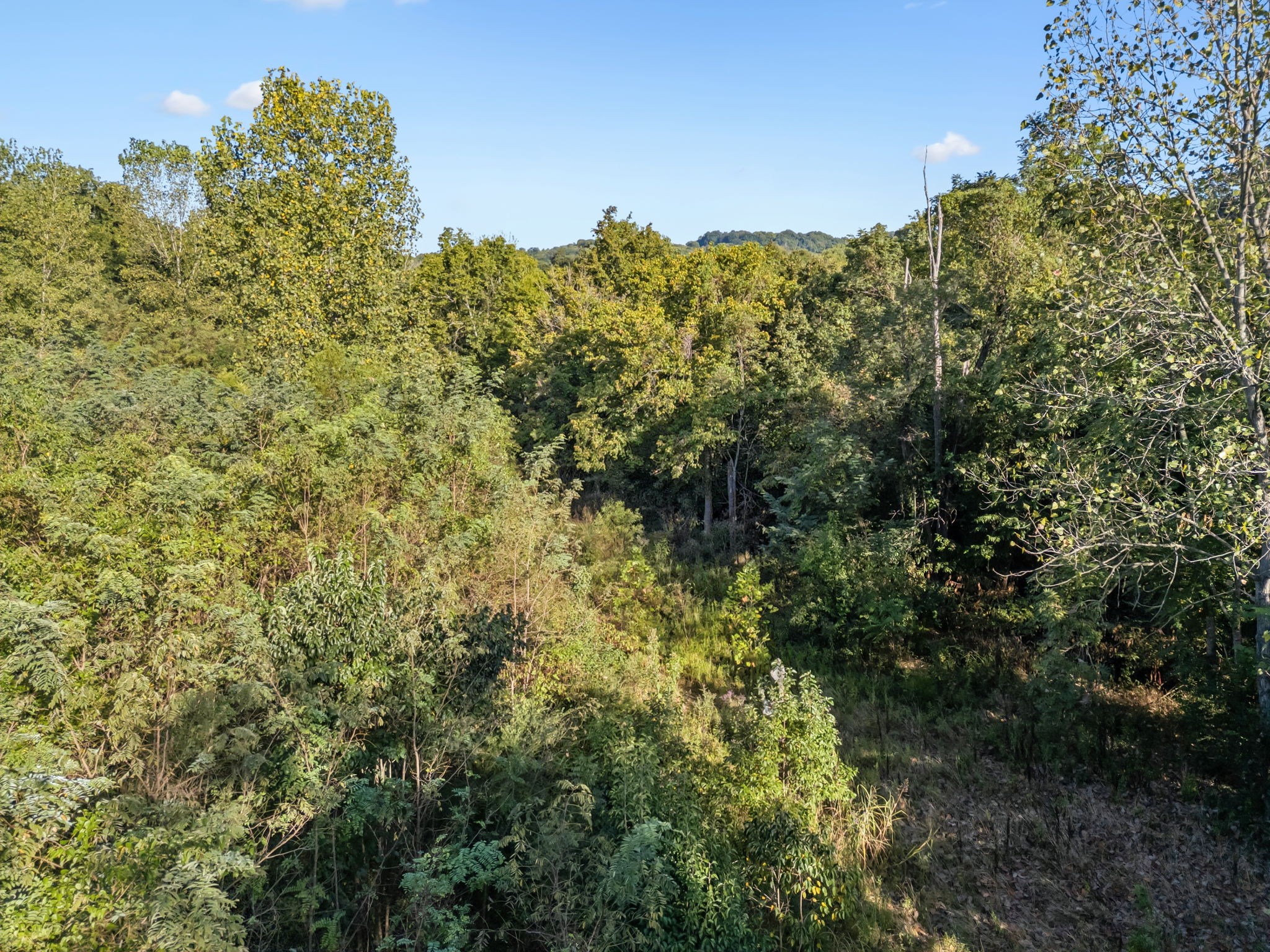 0 Northstone Drive Columbia TN 38401
