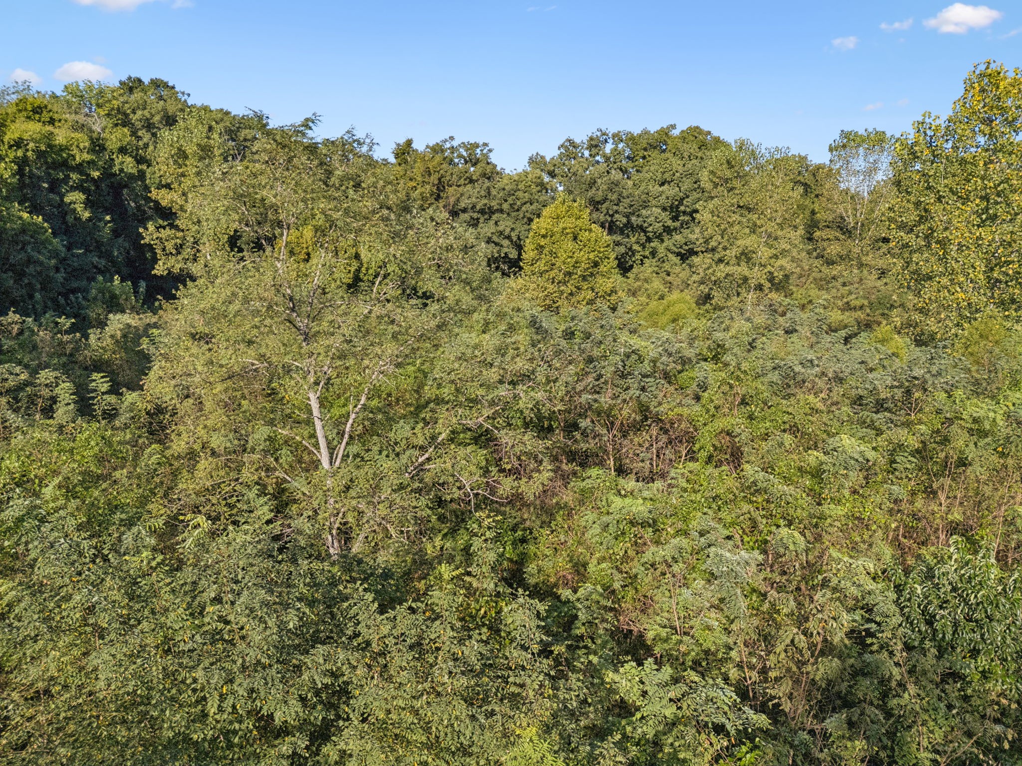 0 Northstone Drive Columbia TN 38401