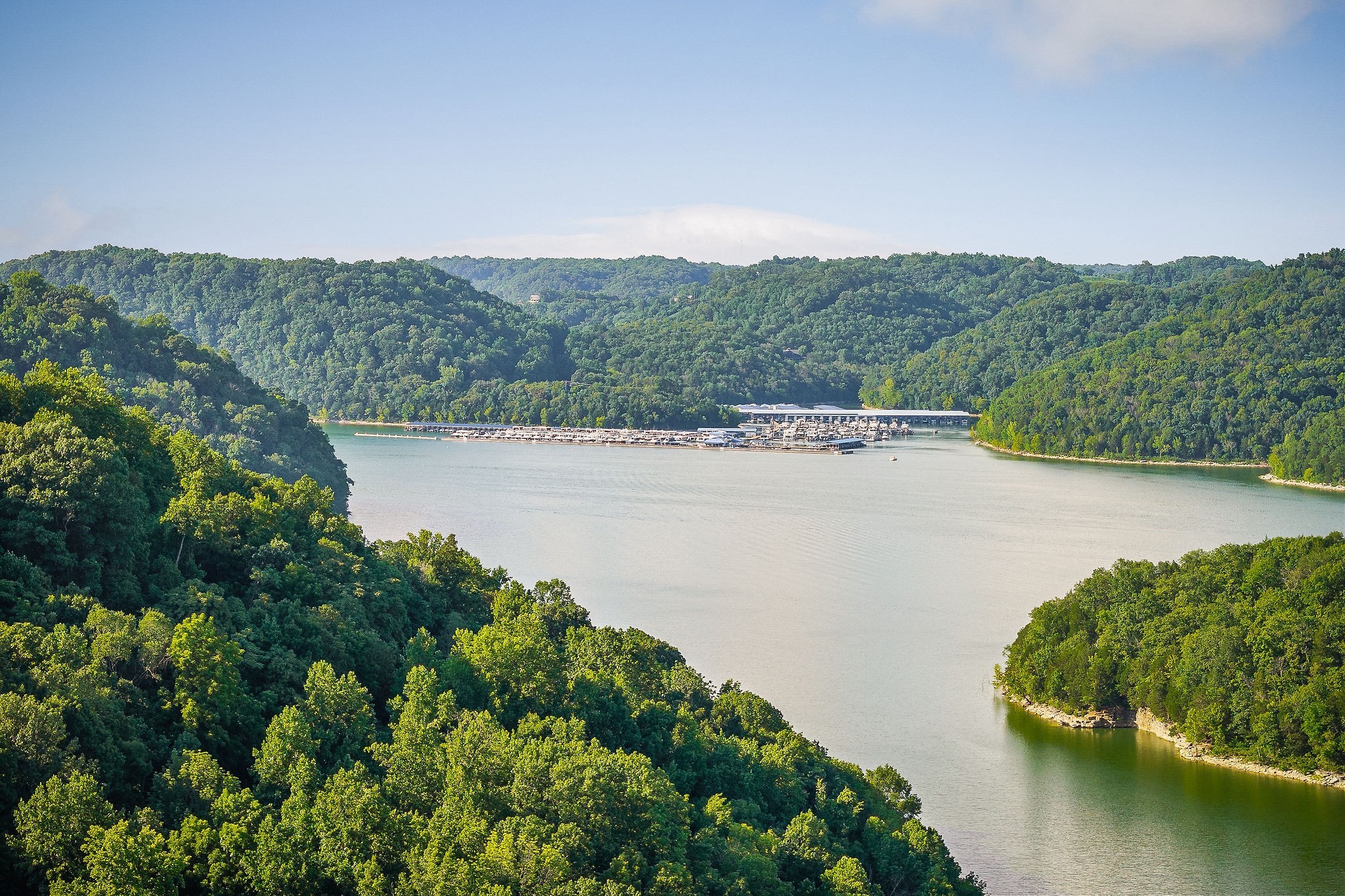 1385 Lakeside Drive Smithville TN 37166
