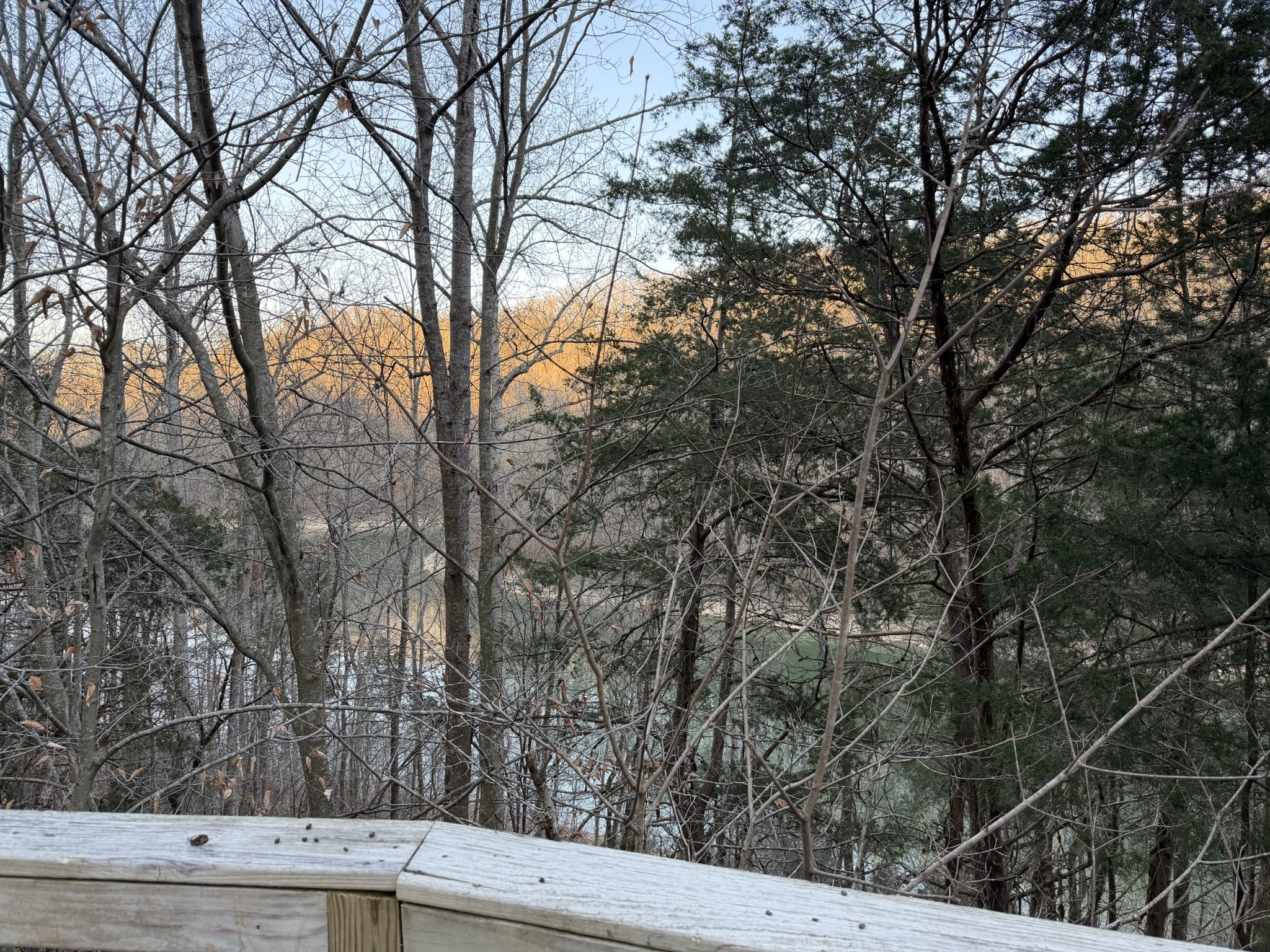 1385 Lakeside Drive Smithville TN 37166