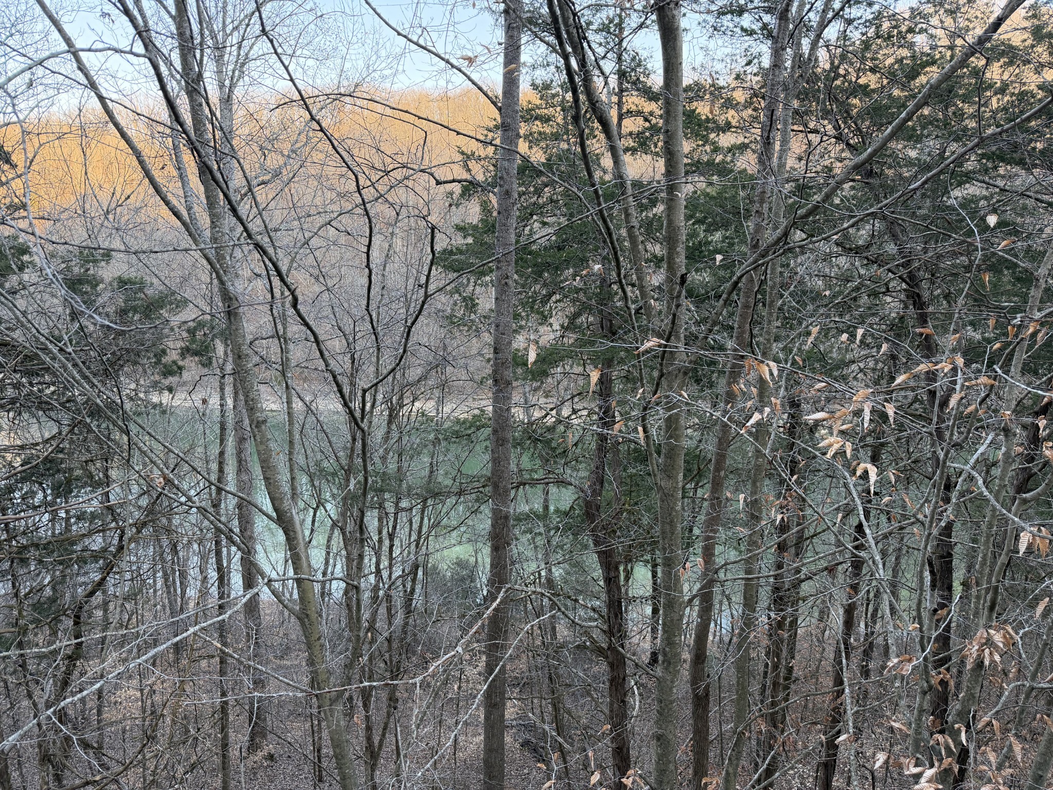1385 Lakeside Drive Smithville TN 37166