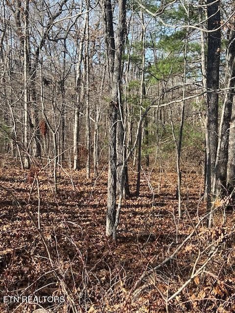 9142 Weketa Circle Crossville TN 38572