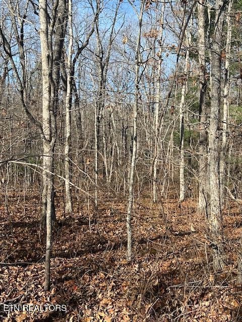 9142 Weketa Circle Crossville TN 38572