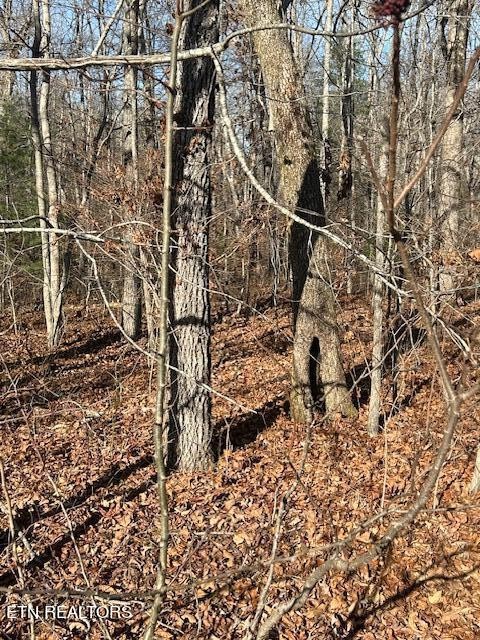 9142 Weketa Circle Crossville TN 38572