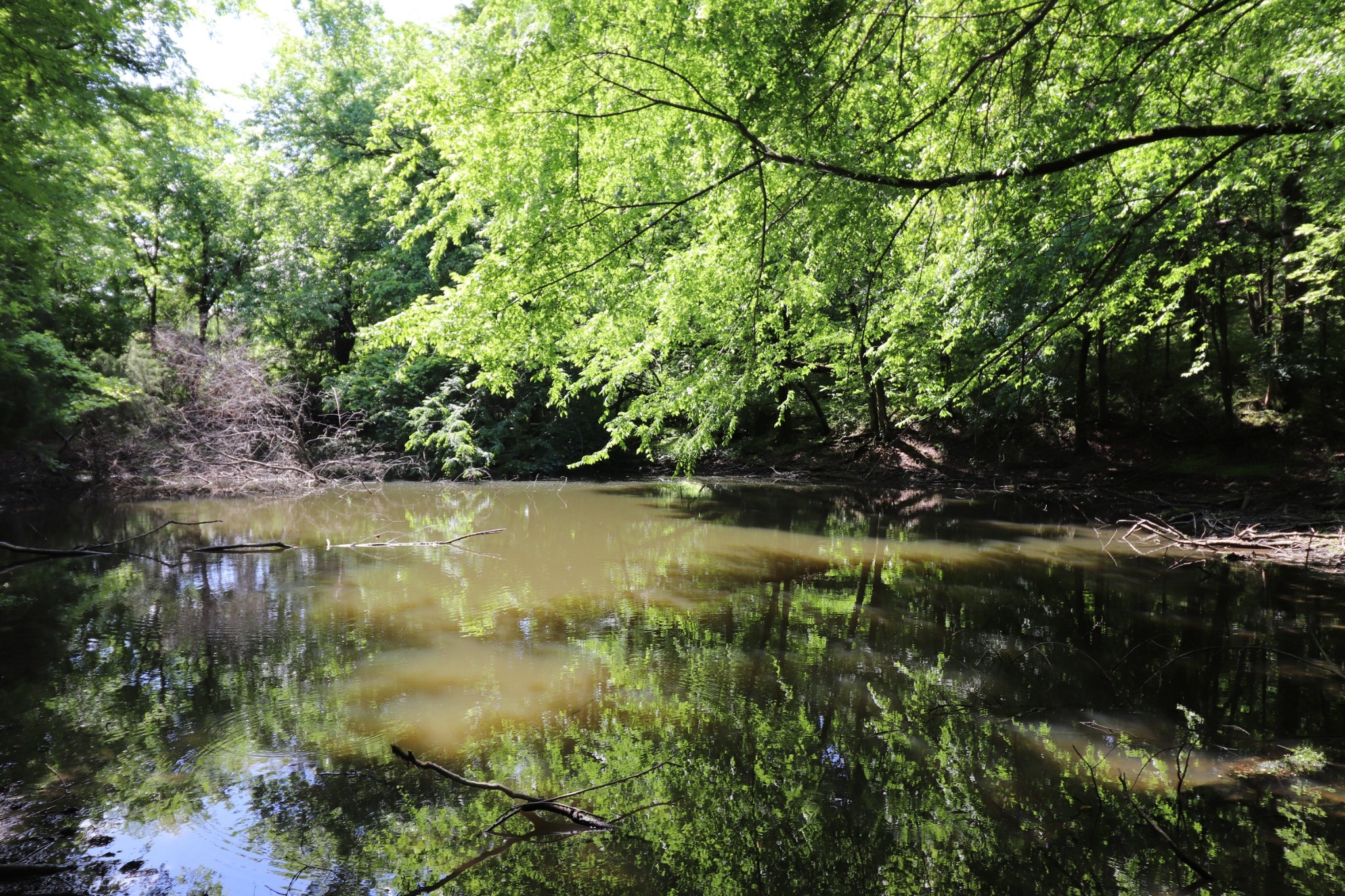 0 River Road Hartsville TN 37074