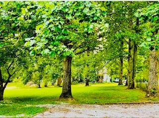 34 Lancaster Circle Lancaster TN 38569