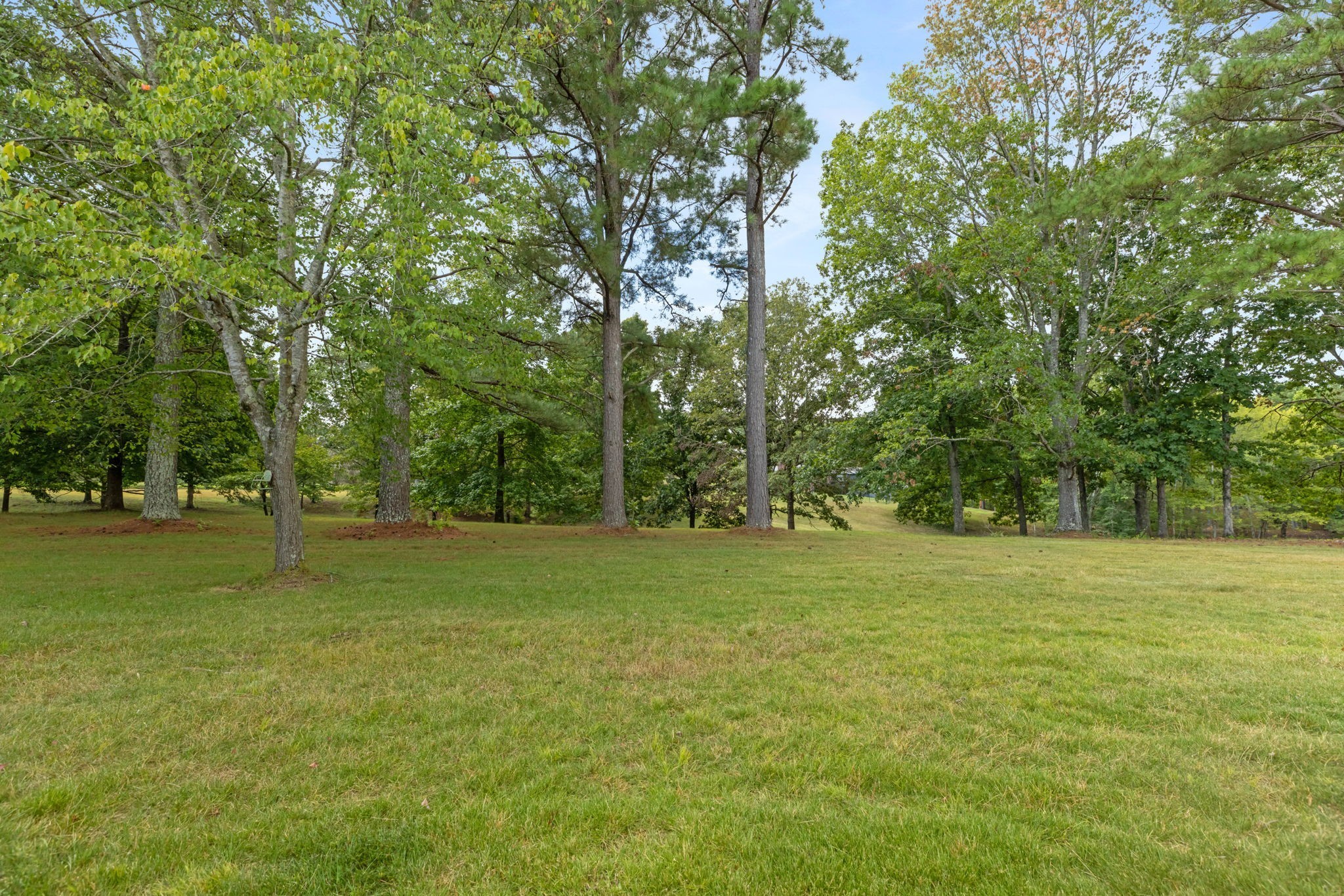 2809 Country Club Drive Centerville TN 37033