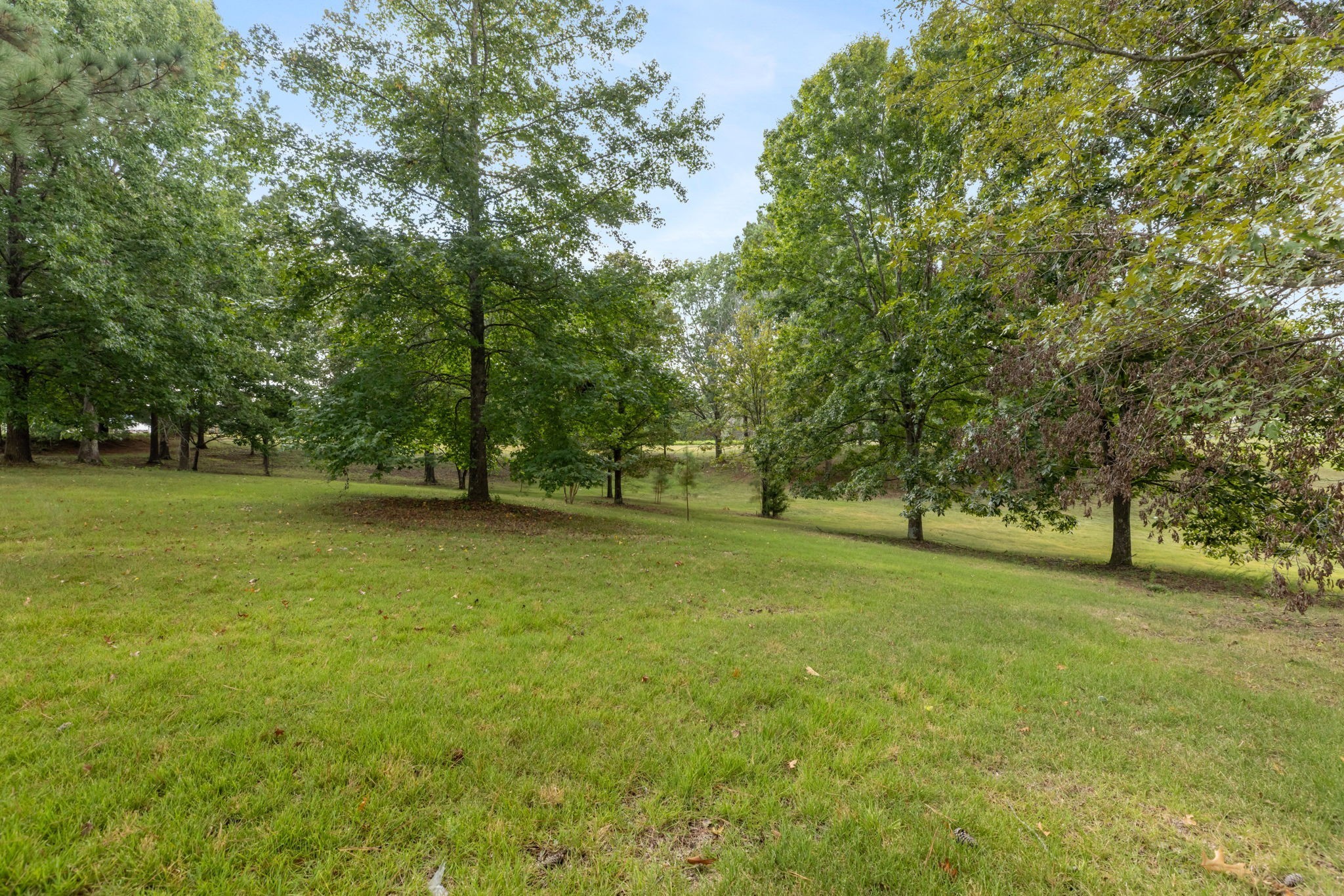 2809 Country Club Drive Centerville TN 37033