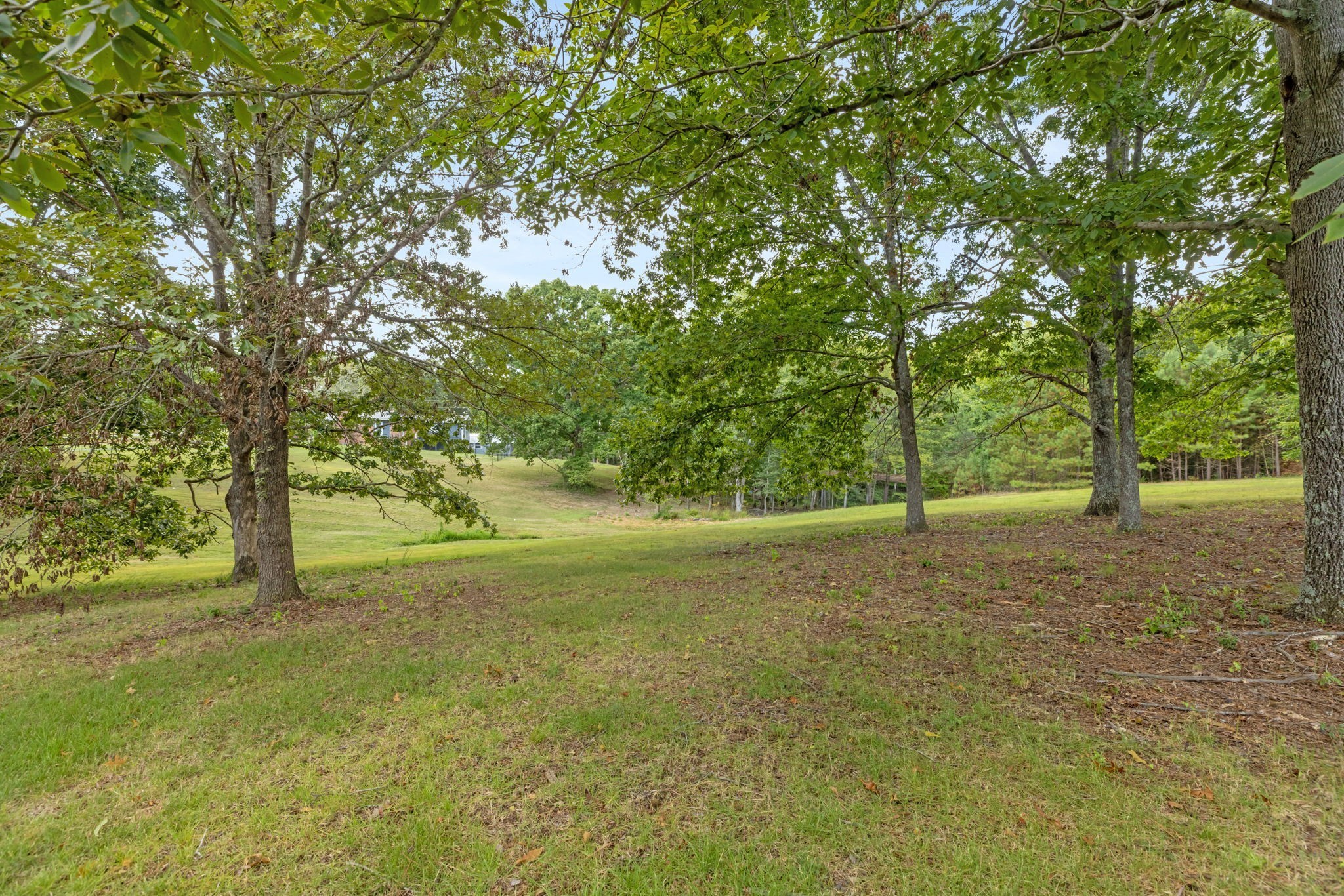 2809 Country Club Drive Centerville TN 37033