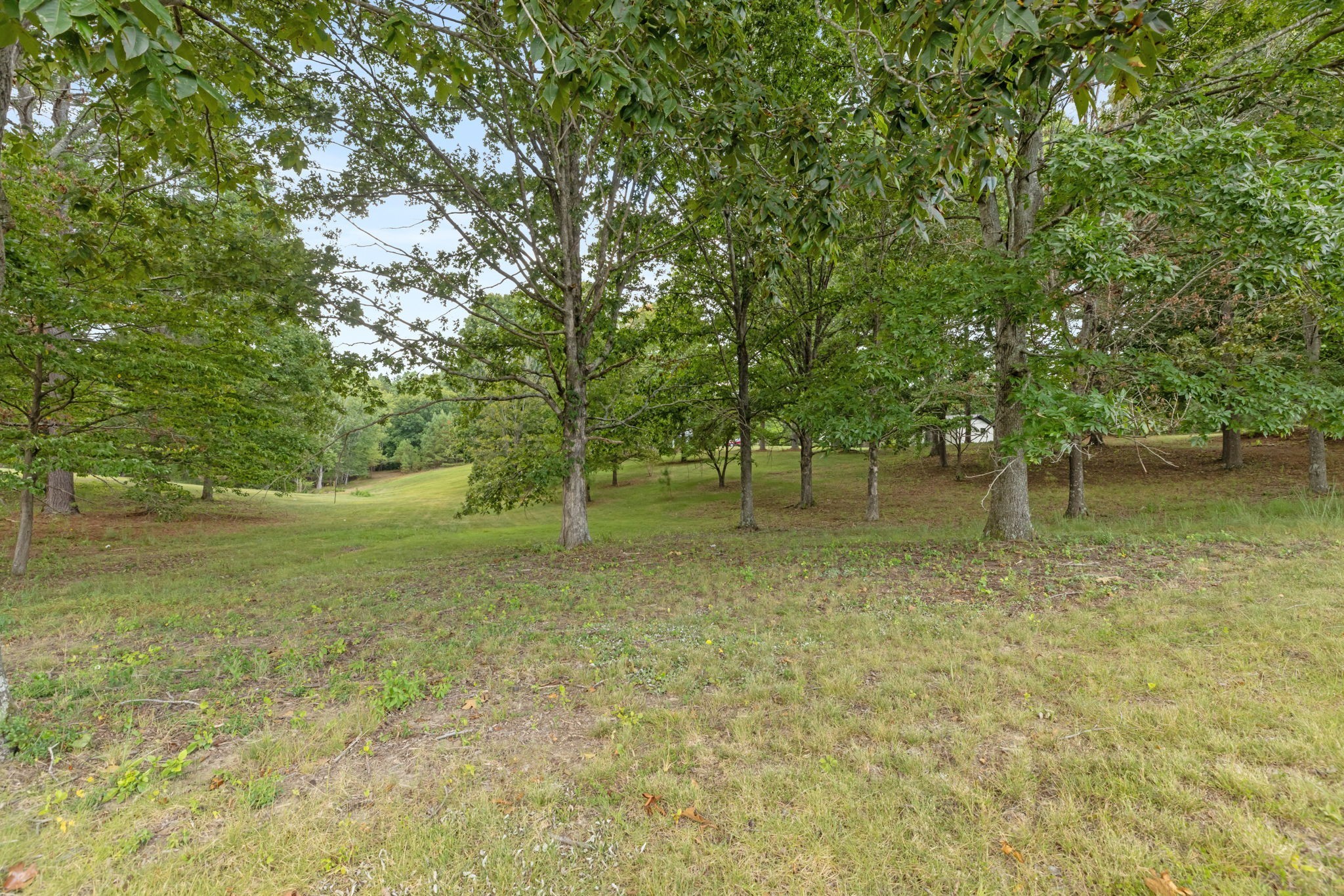 2809 Country Club Drive Centerville TN 37033