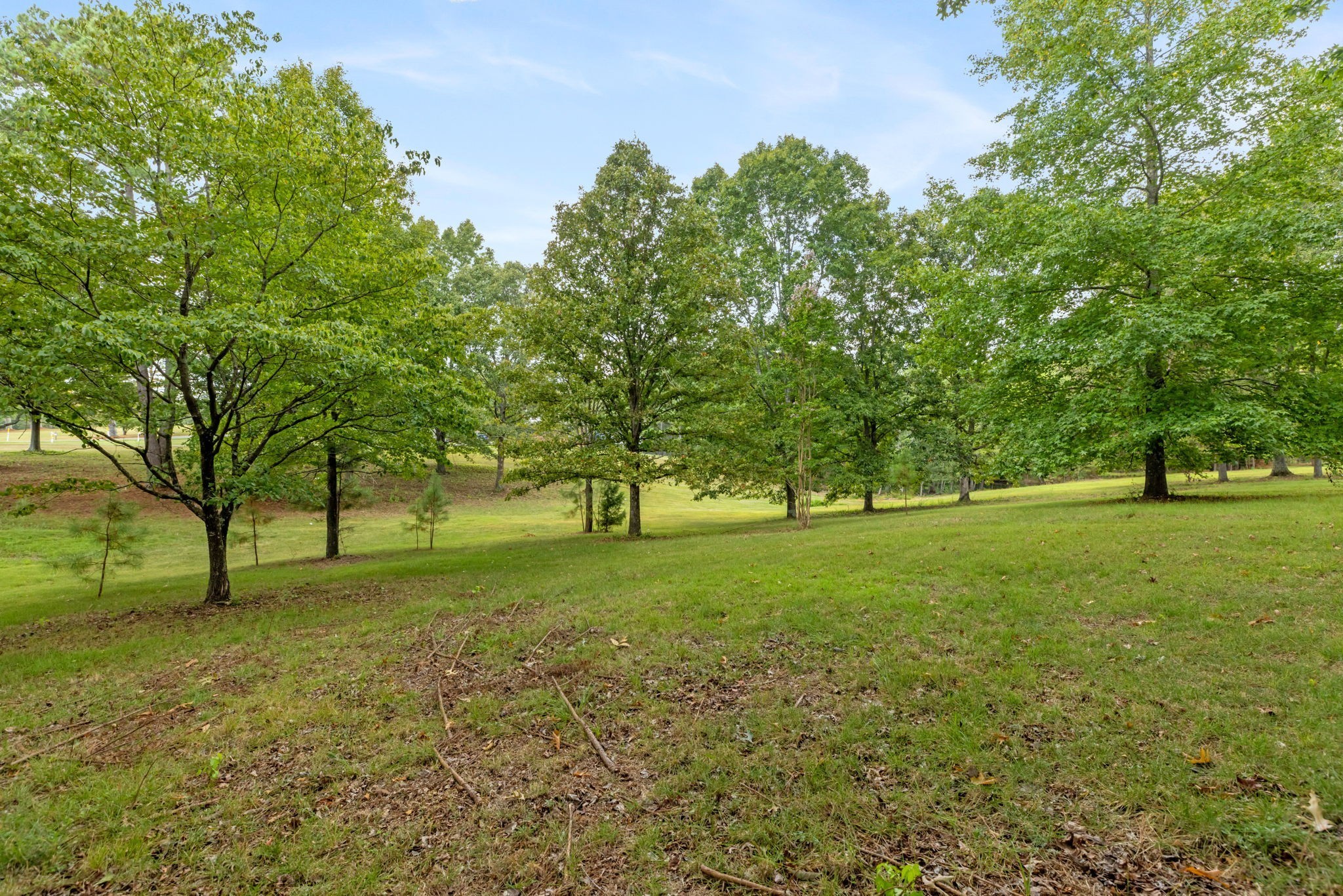 2809 Country Club Drive Centerville TN 37033