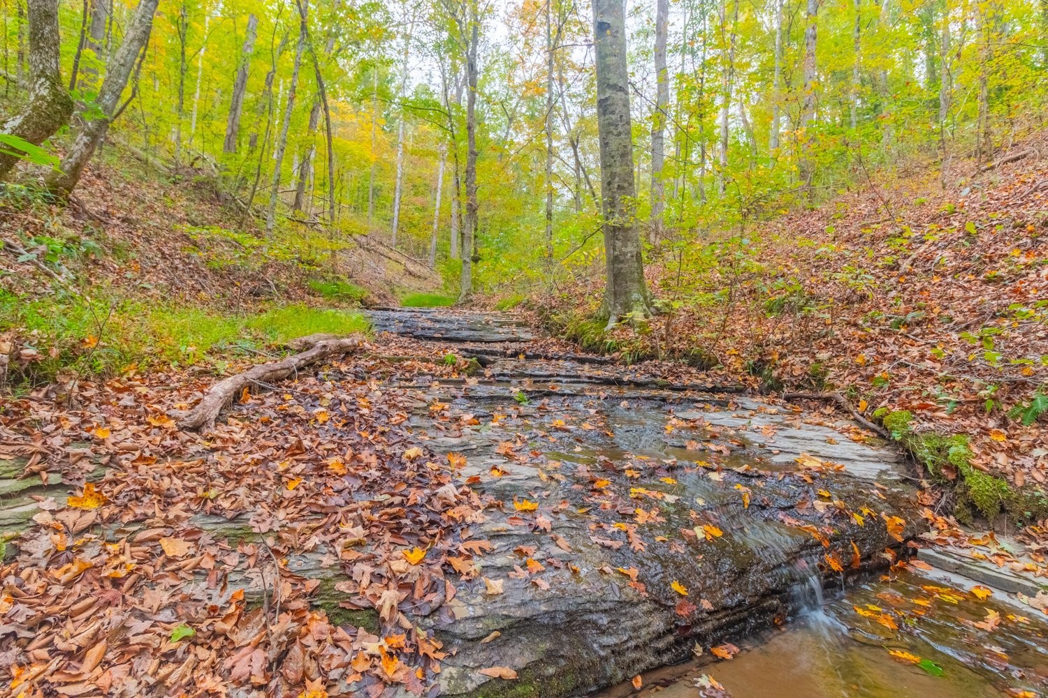 0 Ross Hollow Road Ashland City TN 37015