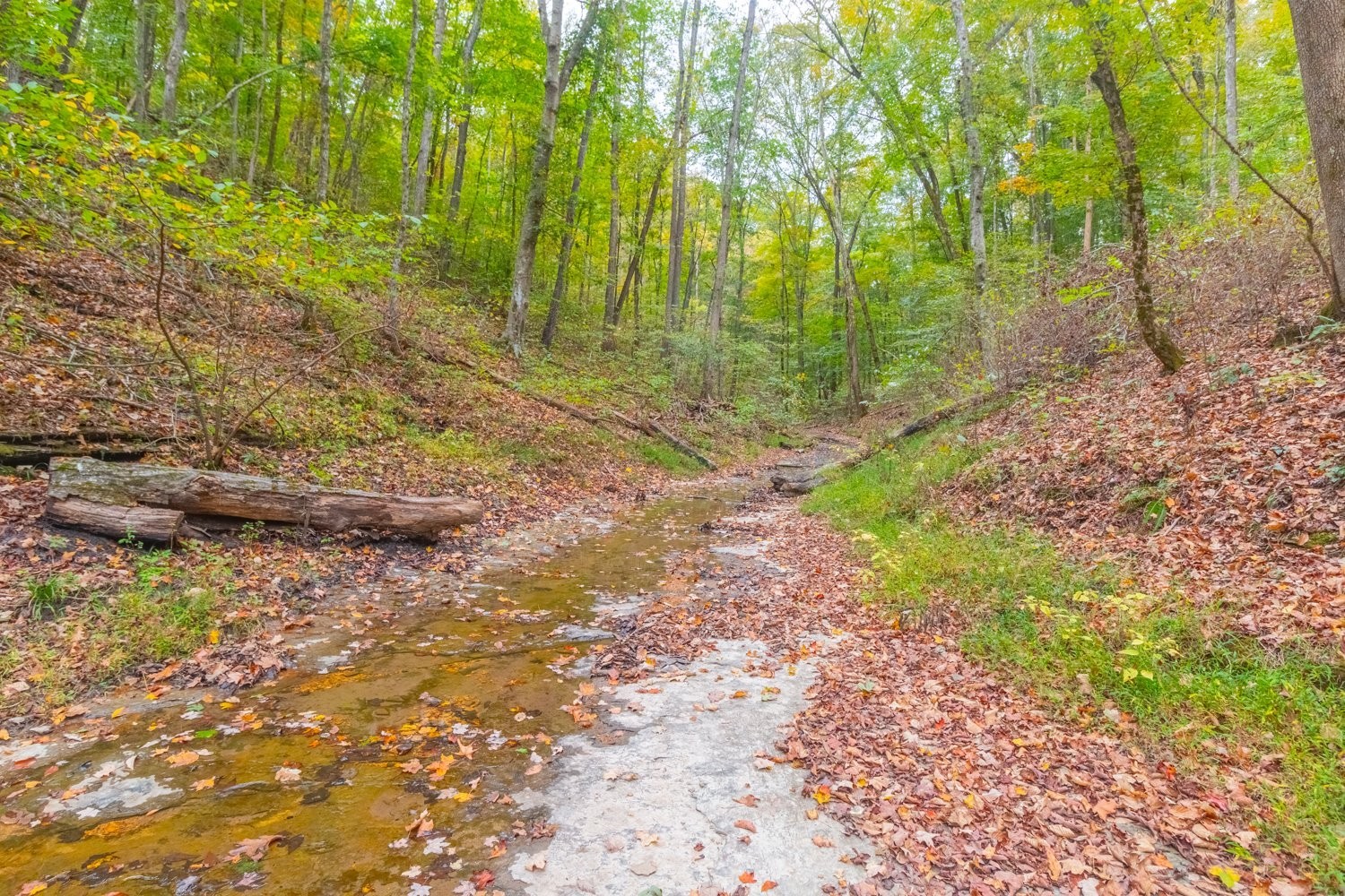 0 Ross Hollow Road Ashland City TN 37015