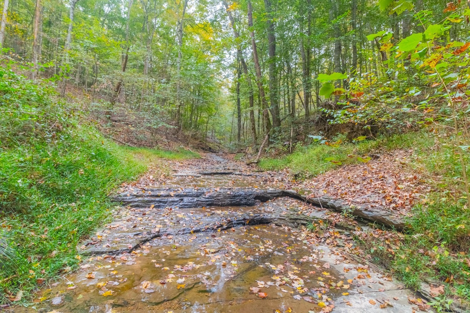 0 Ross Hollow Road Ashland City TN 37015