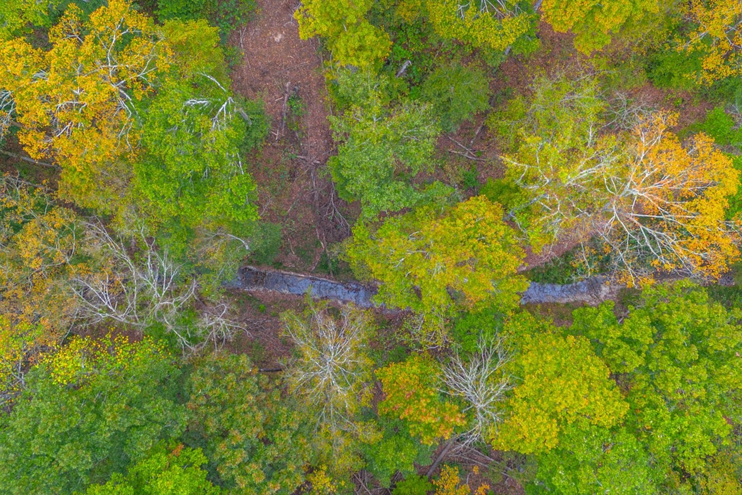 0 Ross Hollow Road Ashland City TN 37015