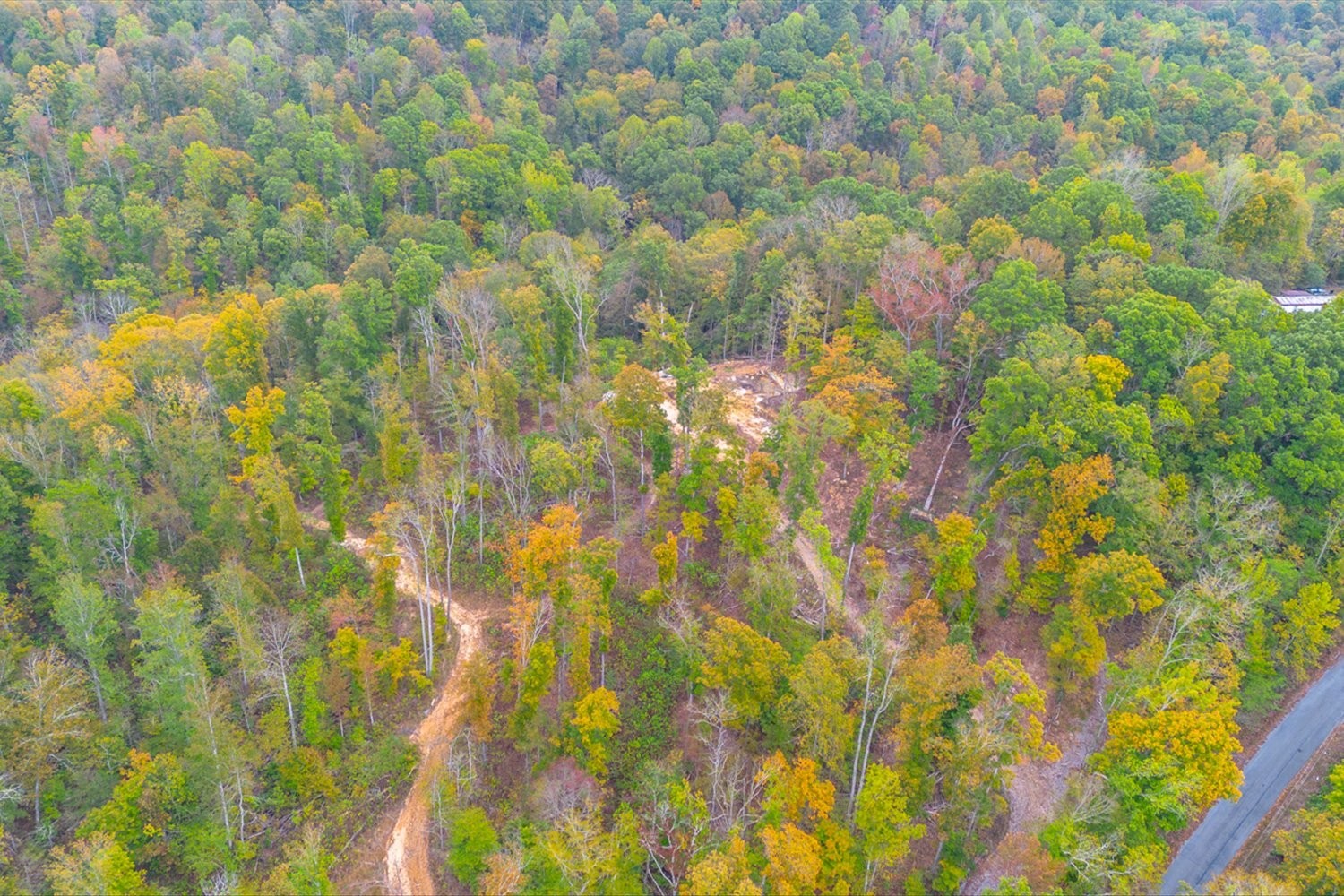 0 Ross Hollow Road Ashland City TN 37015