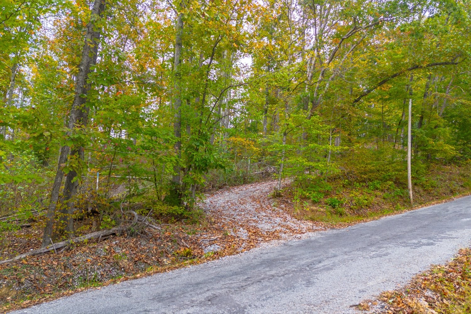0 Ross Hollow Road Ashland City TN 37015